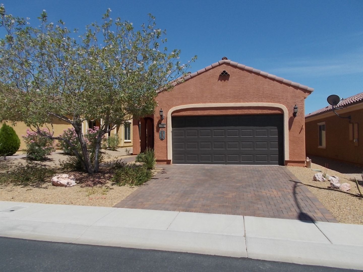 Beautiful 55+ Single-Story Home Available in Mesquite – photo 1
