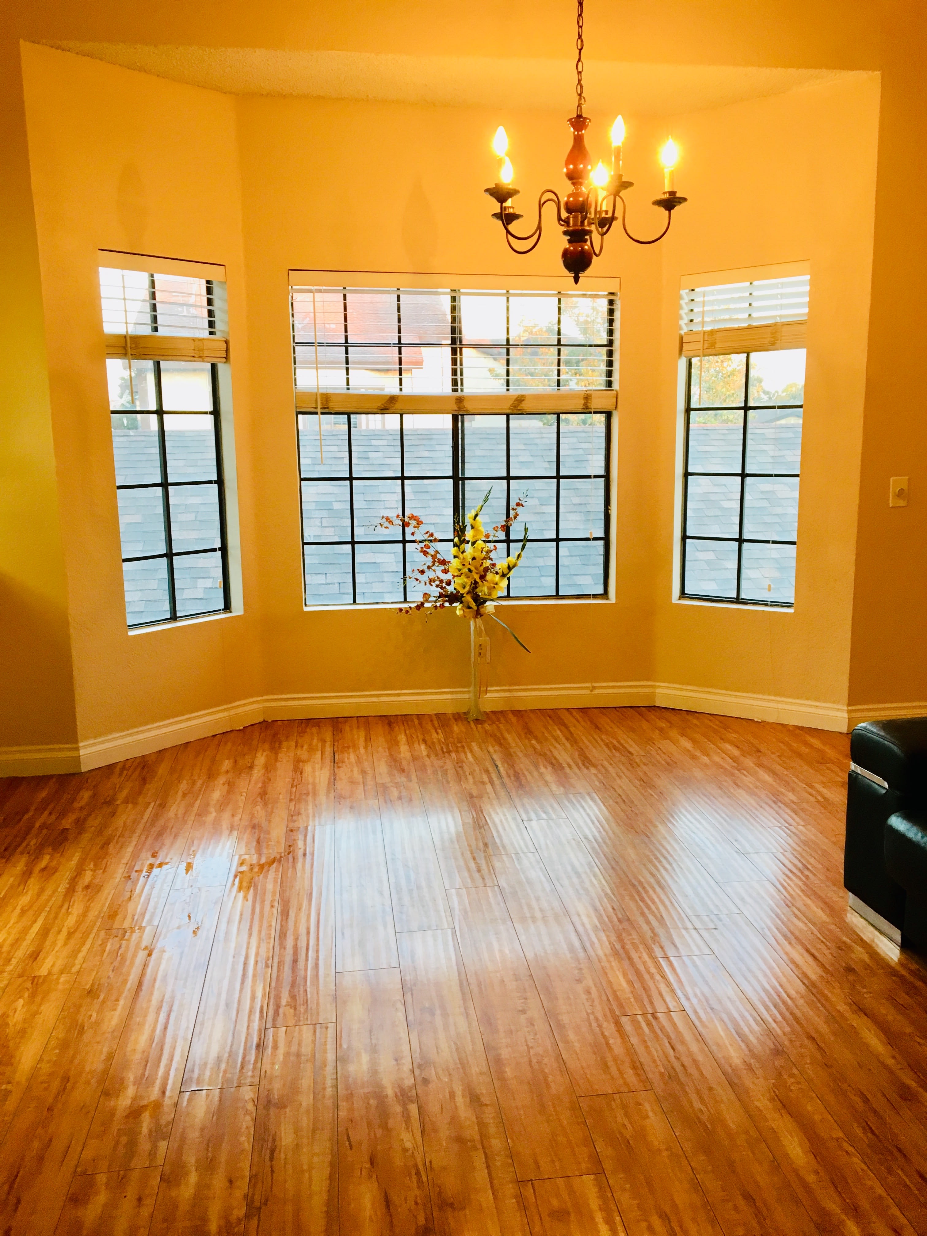 9014 Stacie Lane – photo 1 of 13