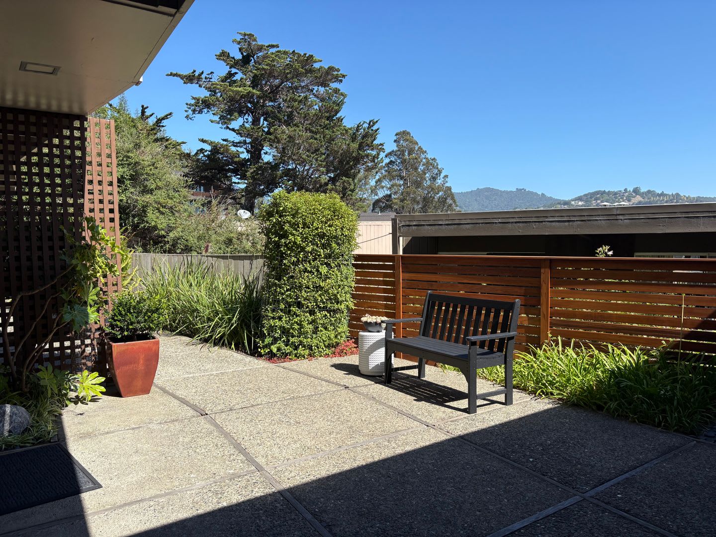 Beautiful 1Bd/1Ba Apt with Private Patio in Mill Valley