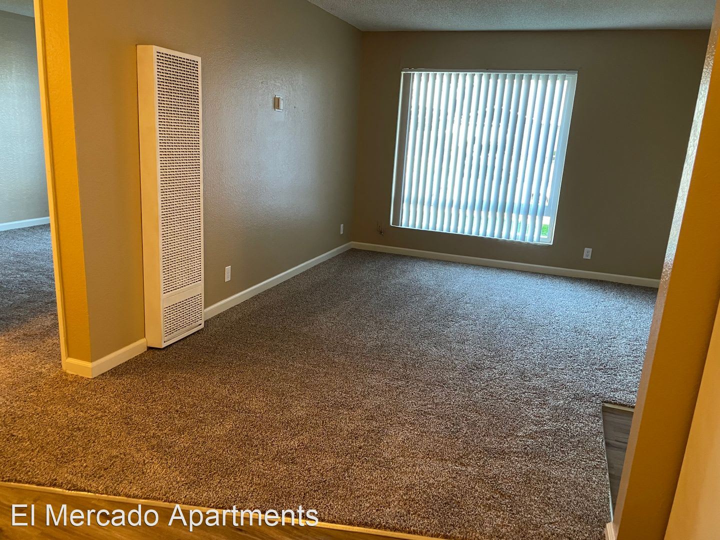 10460 El Mercado Drive – photo 1