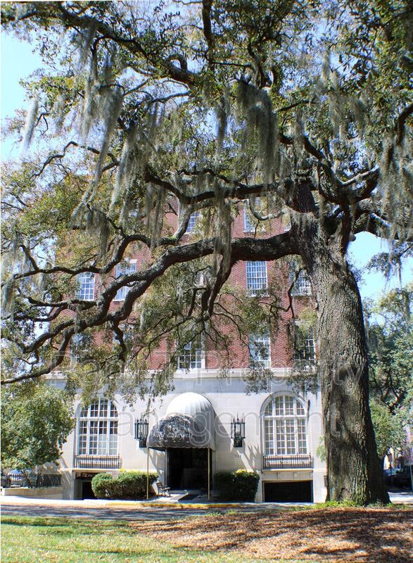 321 Abercorn St – photo 1