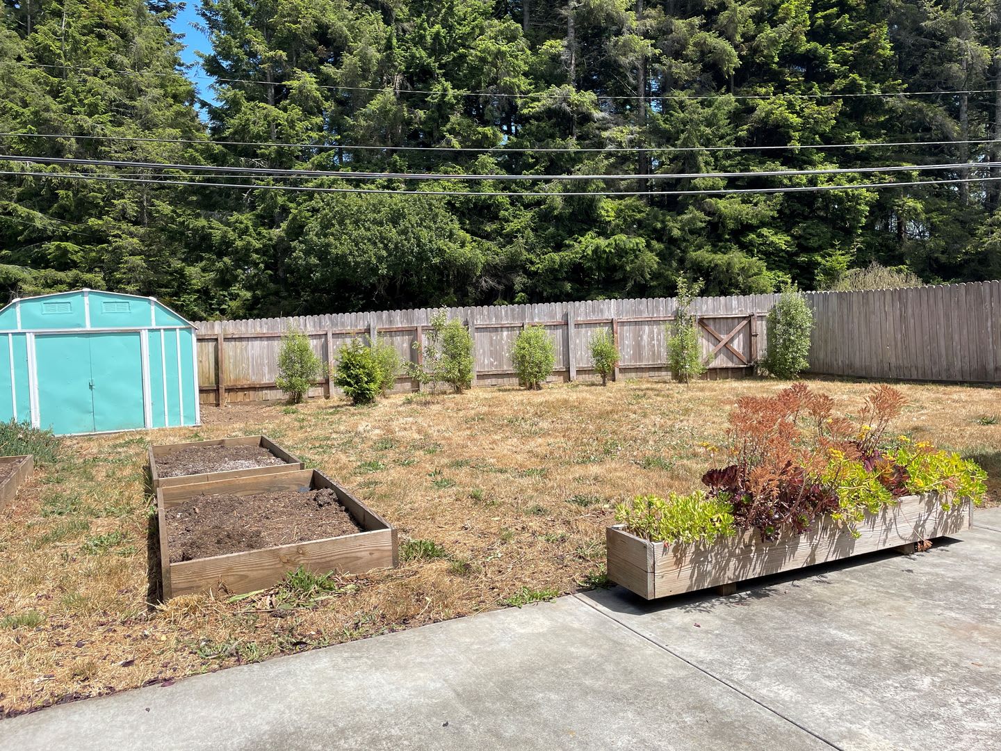 Charming 3-Bedroom Home in Desirable Cutten Neighborhood – photo 1 of 15