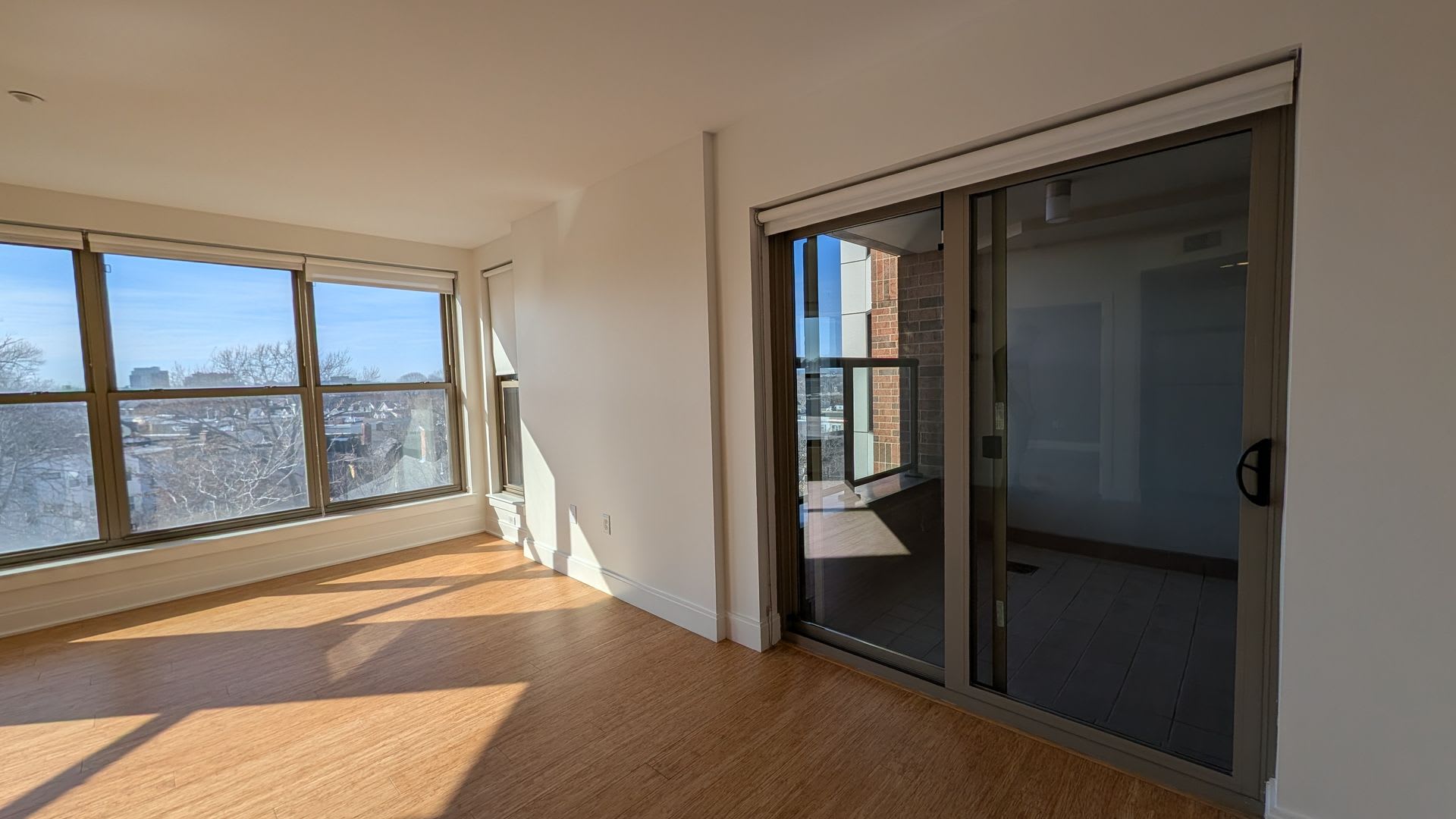 Sunny, Modern Allston 2-Bed/2-Bath Steps from Packard's Corner! – photo 1