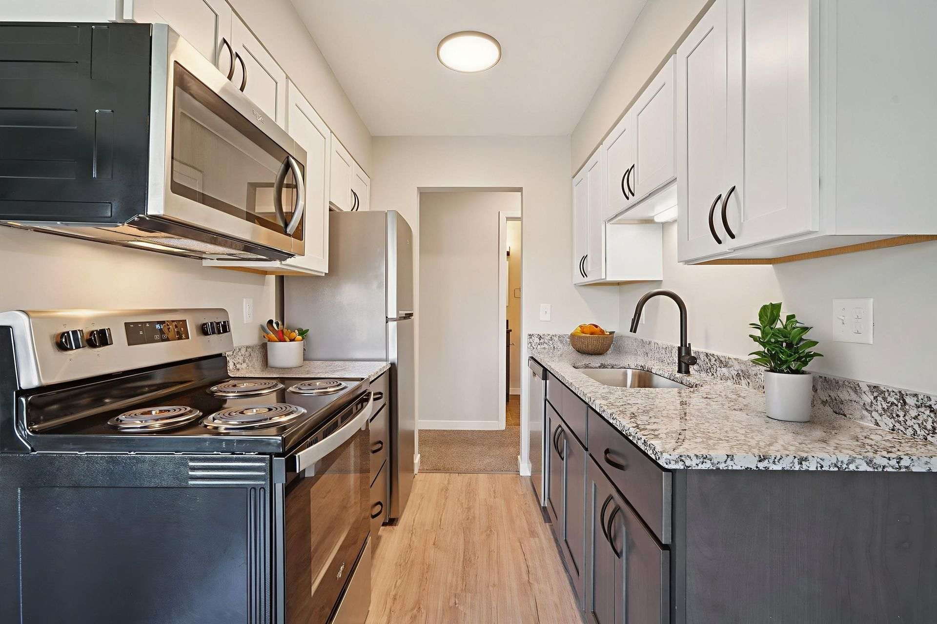 Lydia Rose Apartments – photo 1 of 37