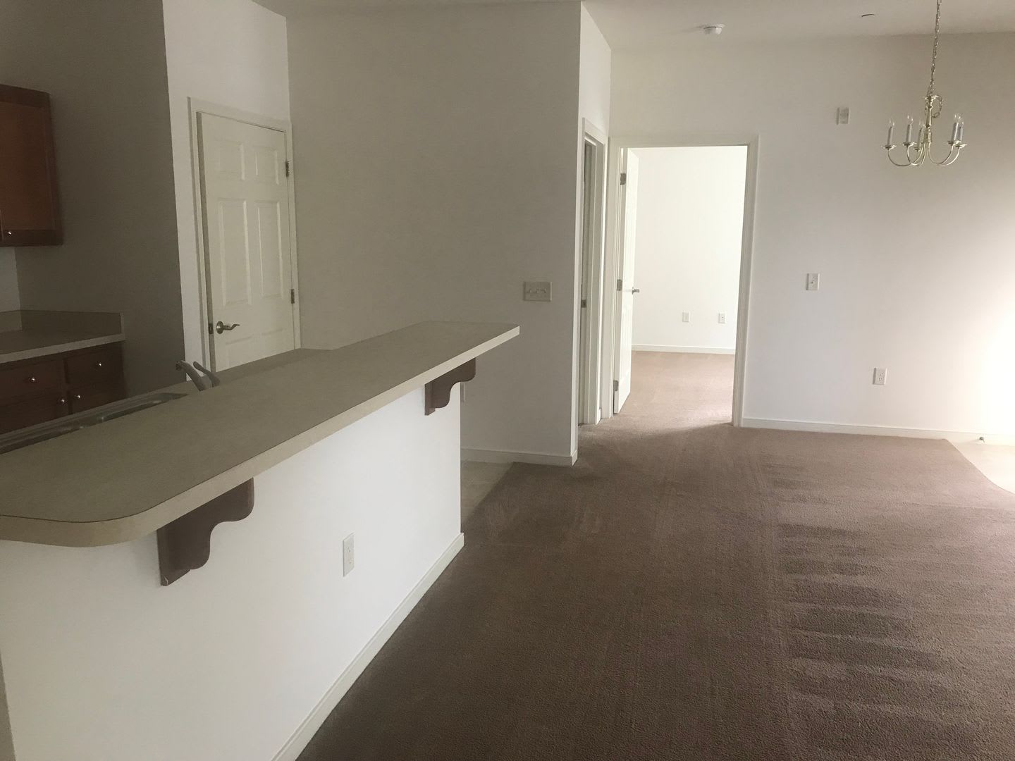 One Bedroom Allegheny – photo 1 of 15