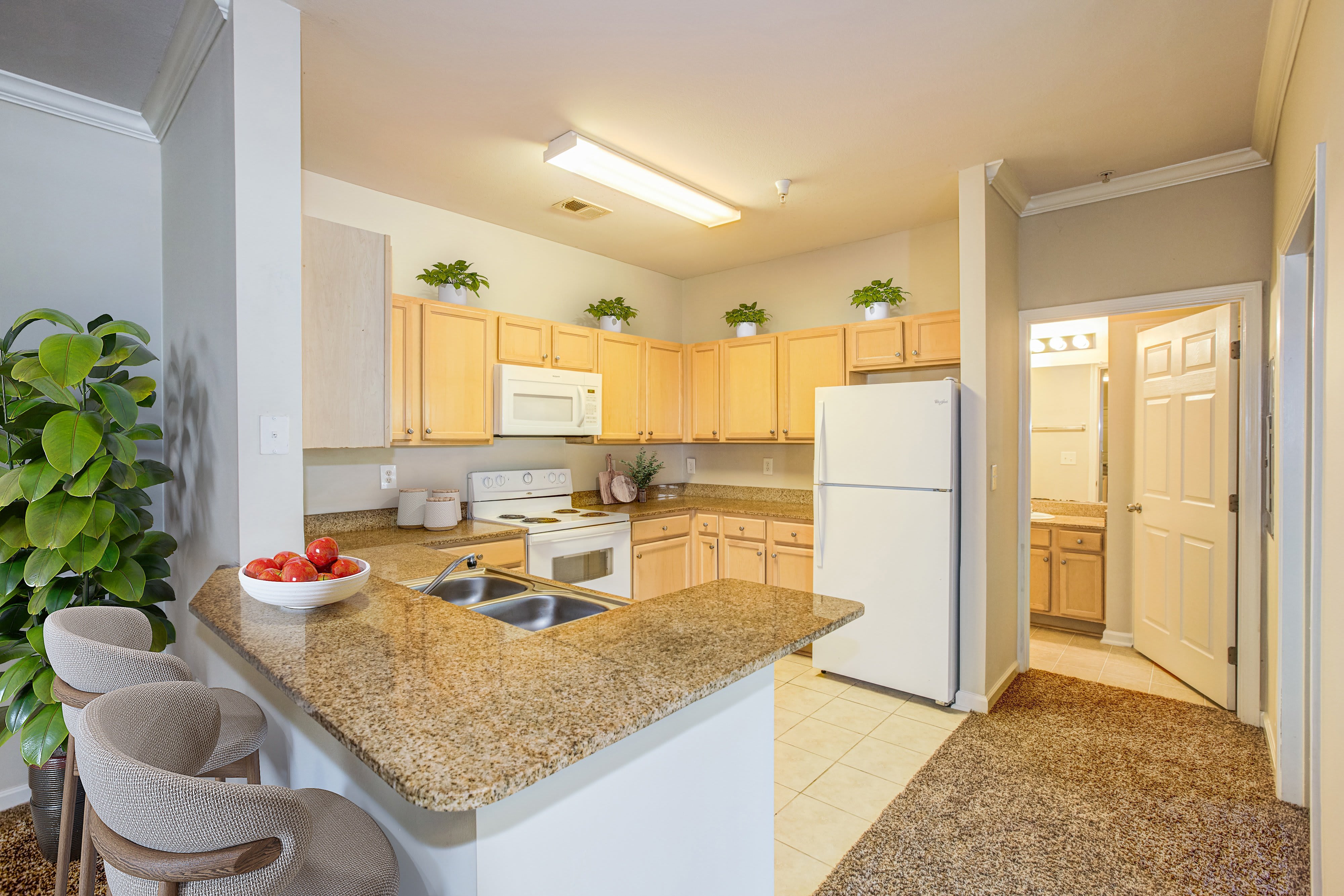 Village on the Lake Apartments – photo 1 of 23