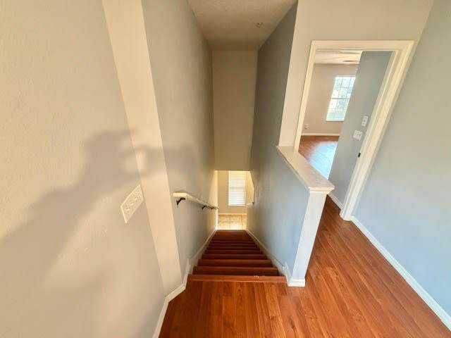 319 Prickle Pear Court