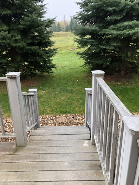 3810 Renee Drive – photo 1