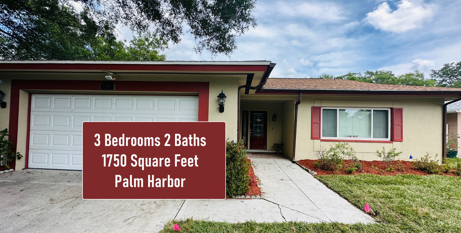 Spacious 3Br Palm Harbor Home With Fenced Yard 2 Car Garage – photo 1 of 215