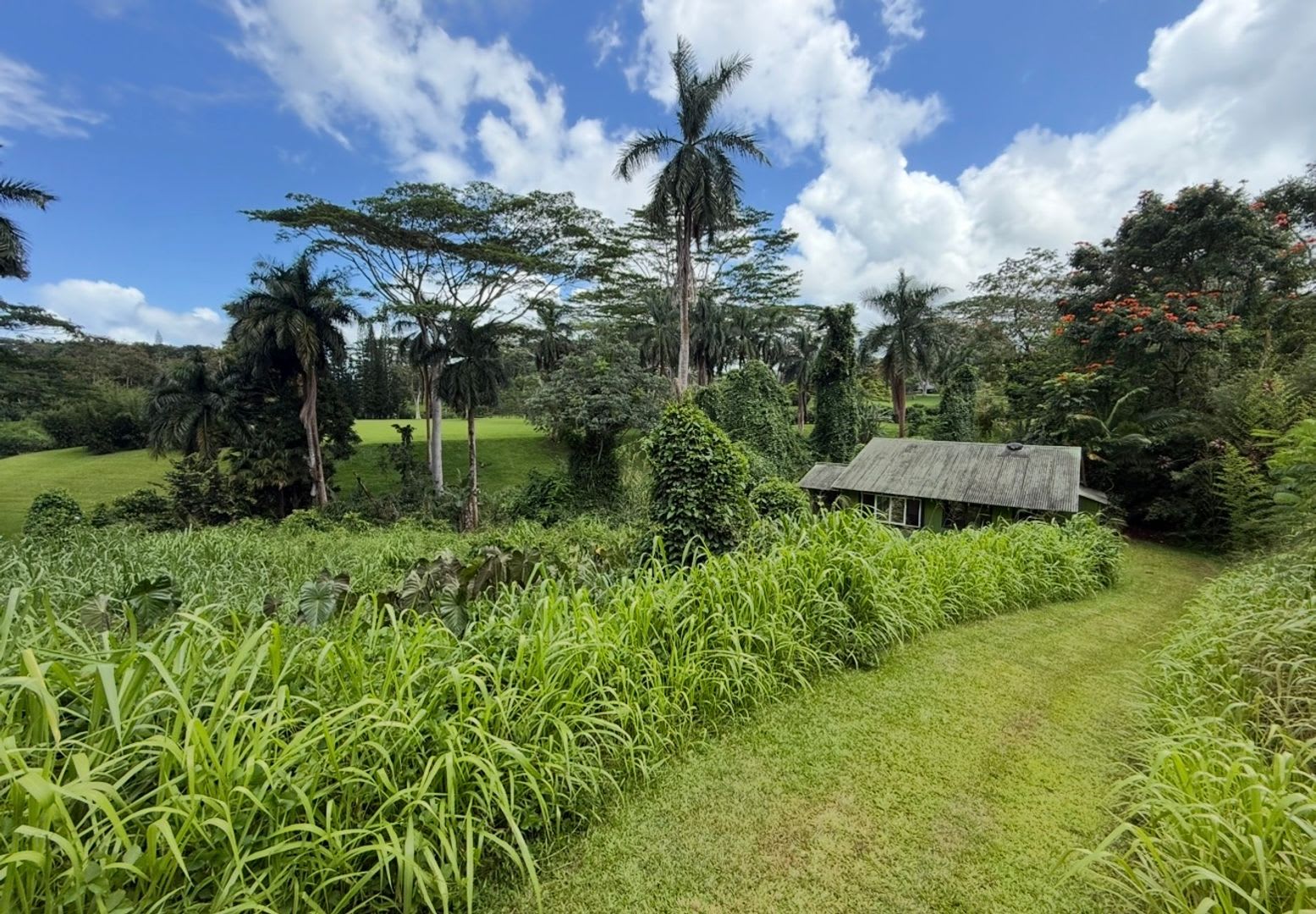 Remote Riverside Kilauea Cottage – photo 1 of 9
