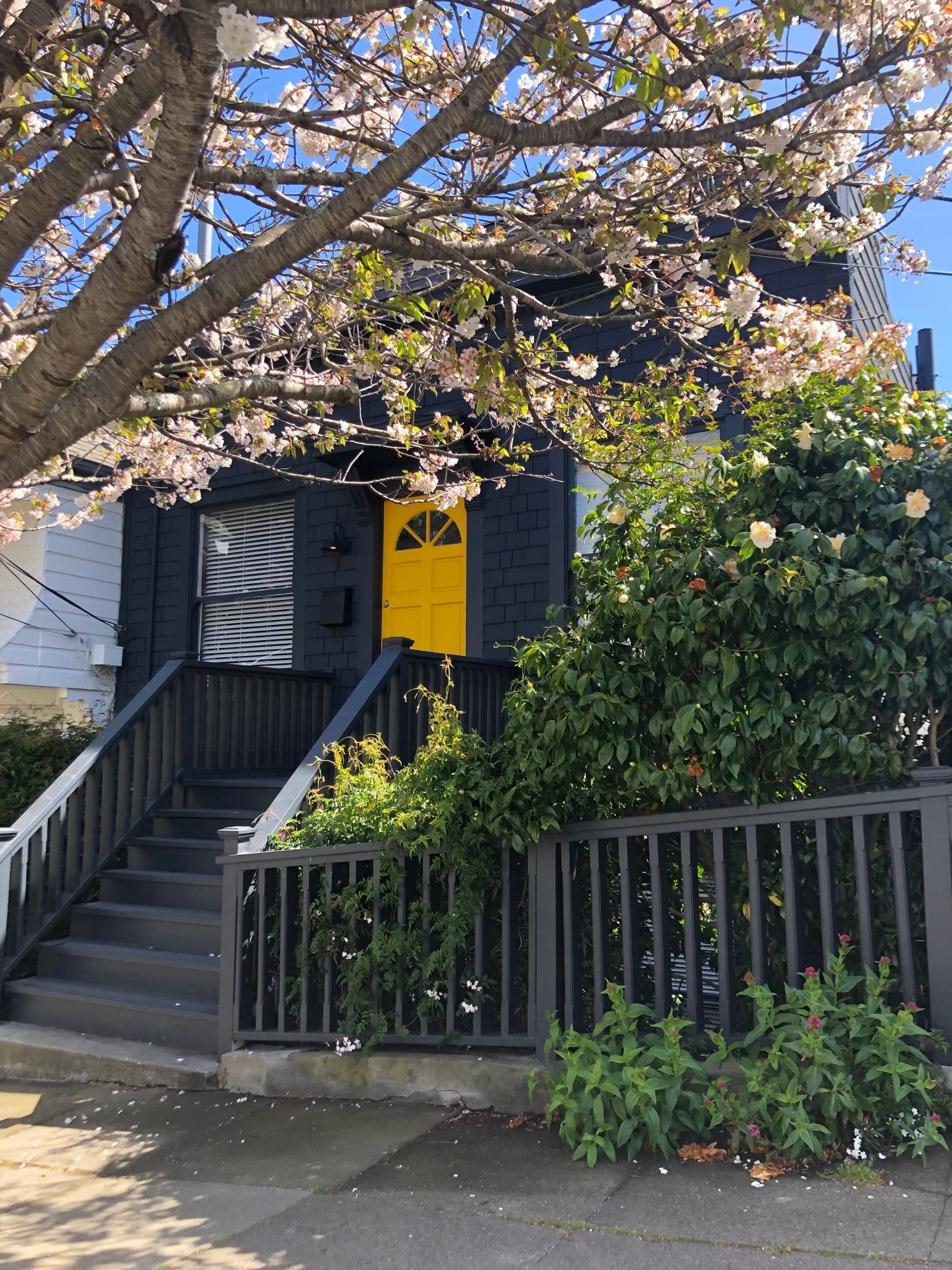 441 Hoffman – photo 1