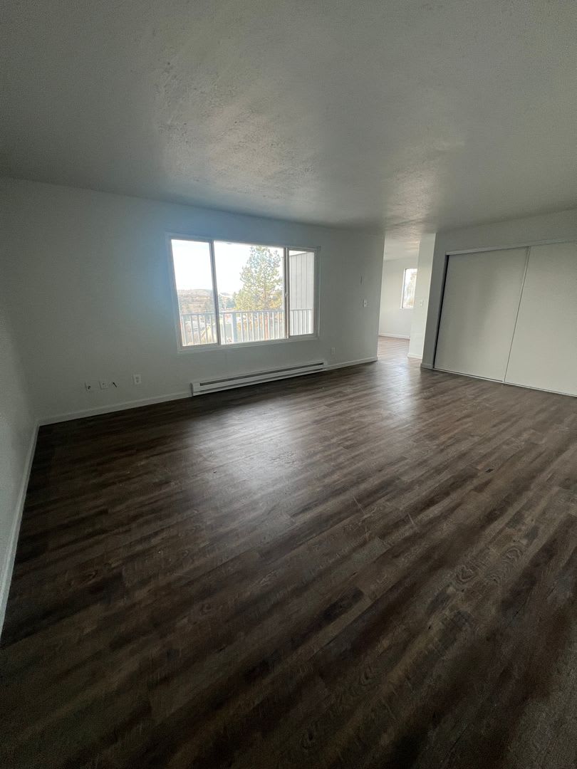 Newly Renovated – photo 1