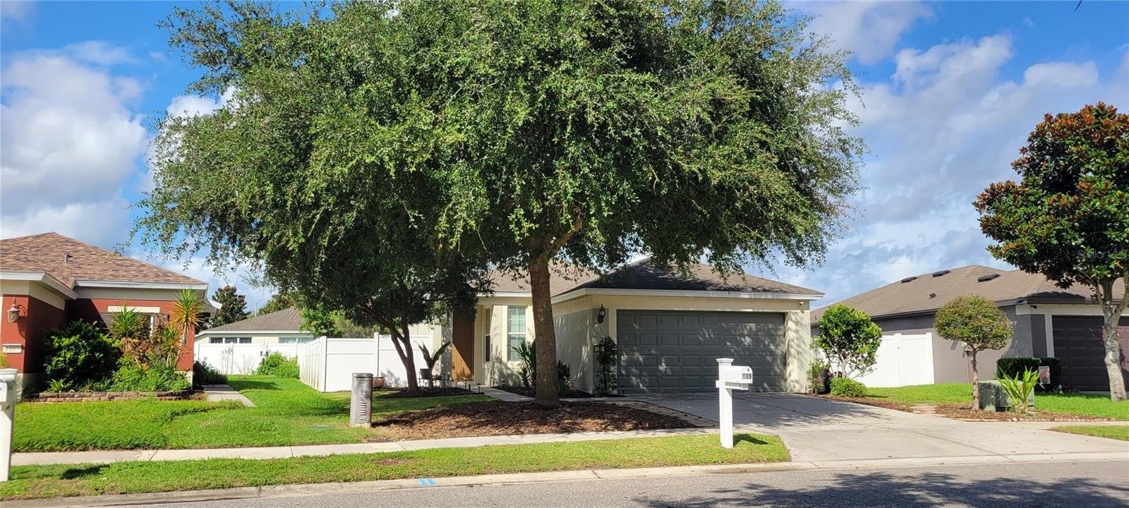 1109 CHINA ASTER Way – photo 1