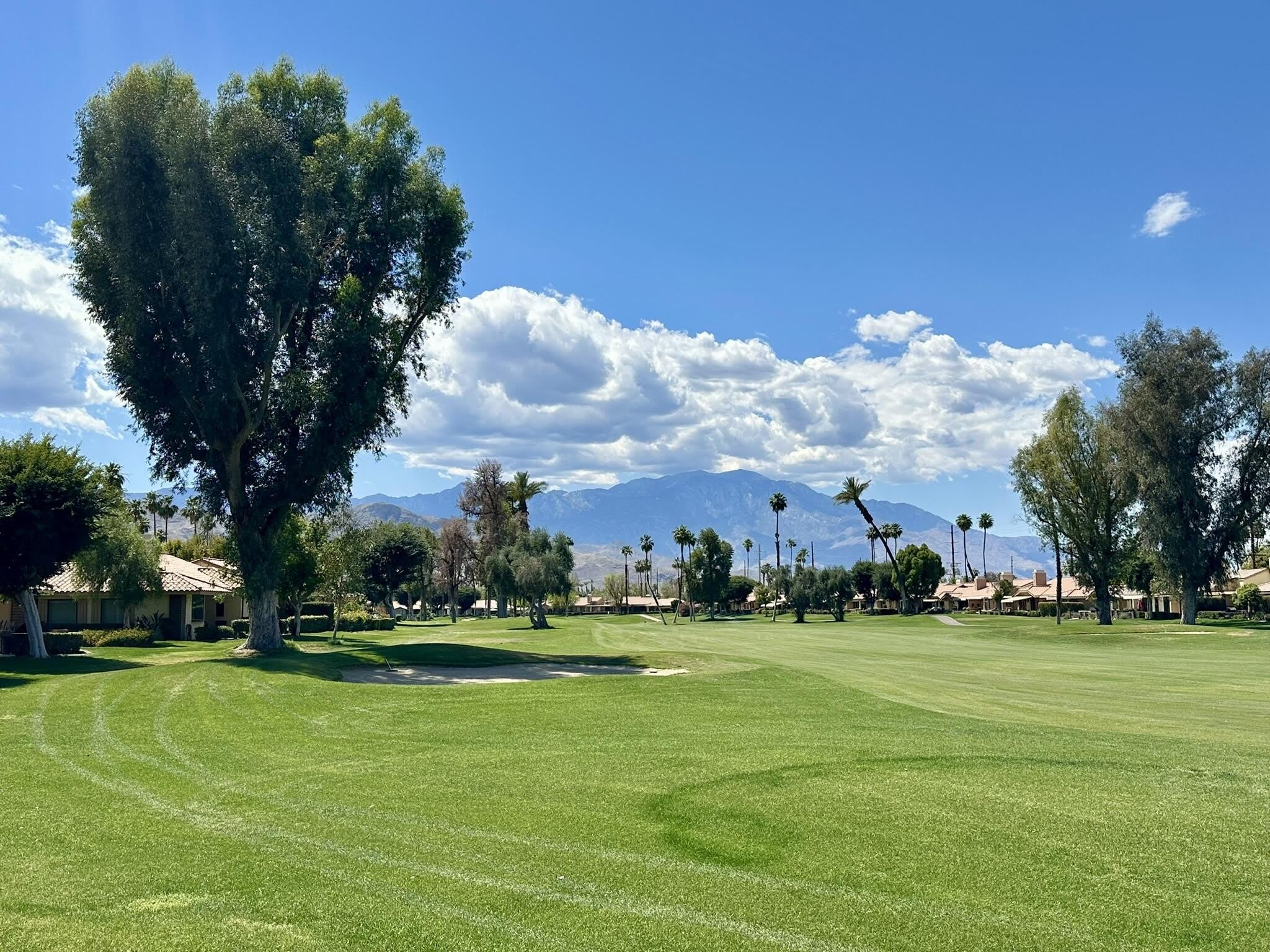 264 Avenida Del Sol – photo 1