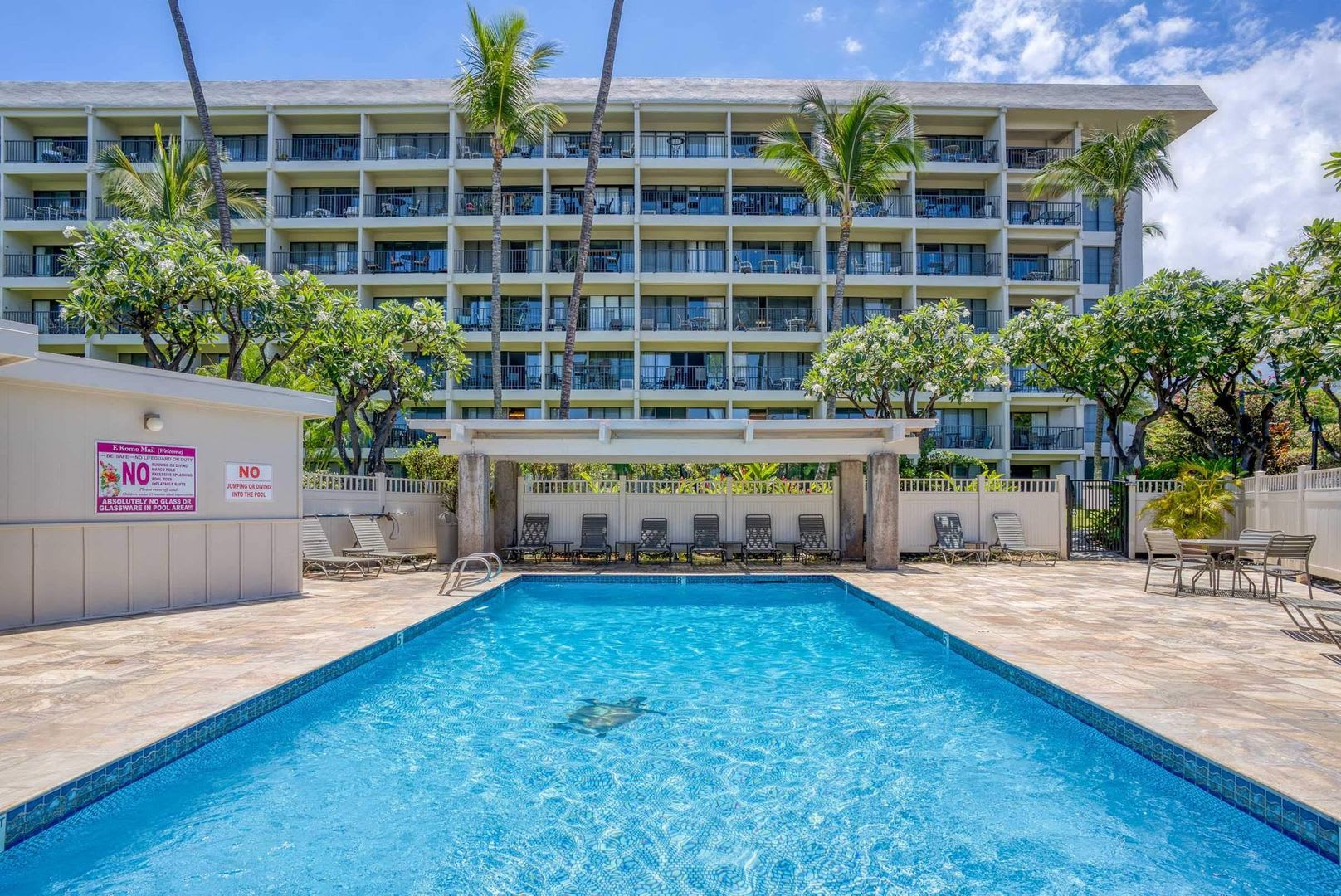 Ocean View 2/2 Fully Furnished + Newly Renovated Condo! – photo 1