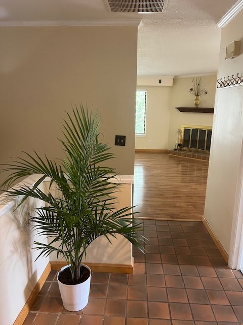 46 Woodwind Court – photo 1
