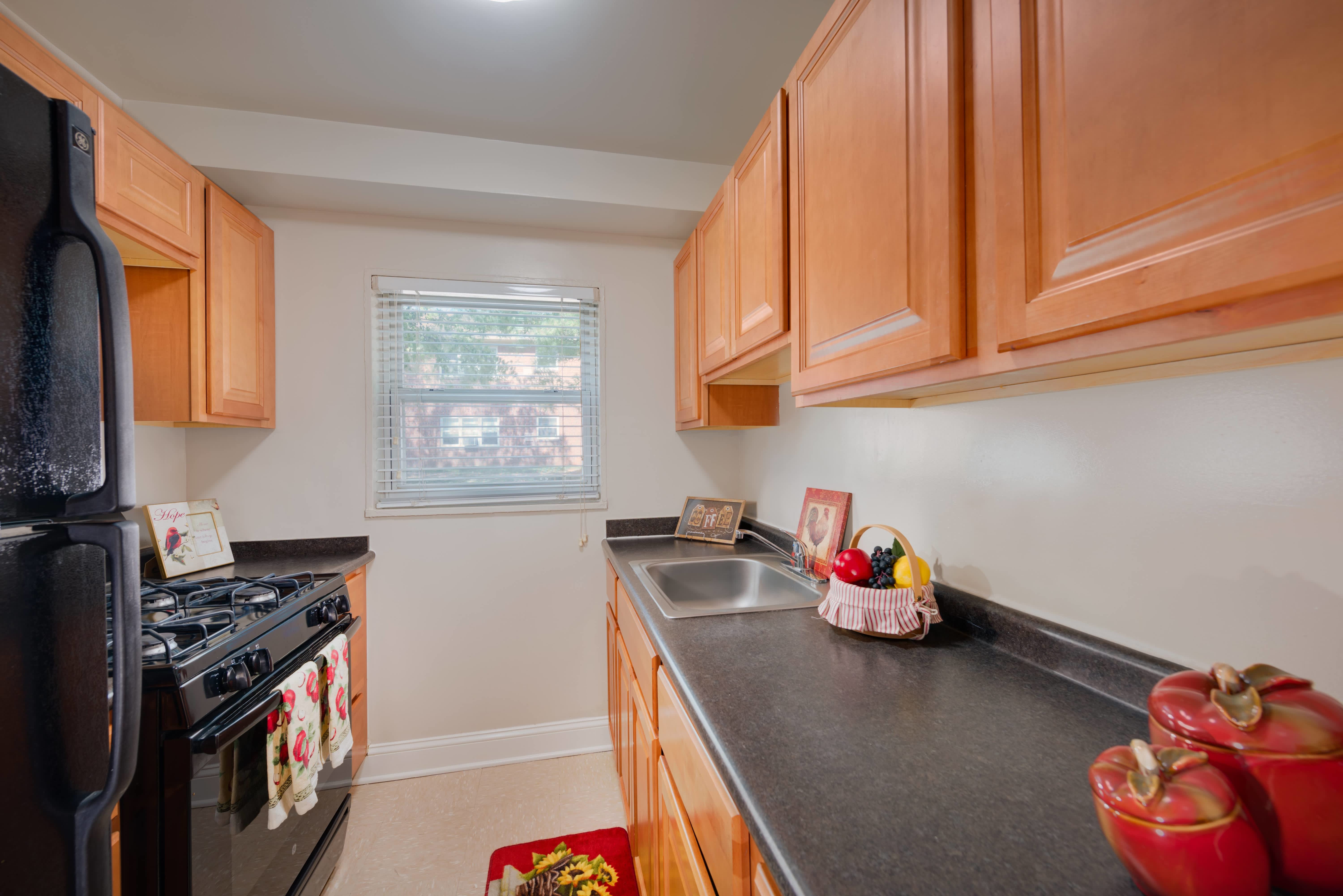 Springfield Gardens – photo 1 of 14
