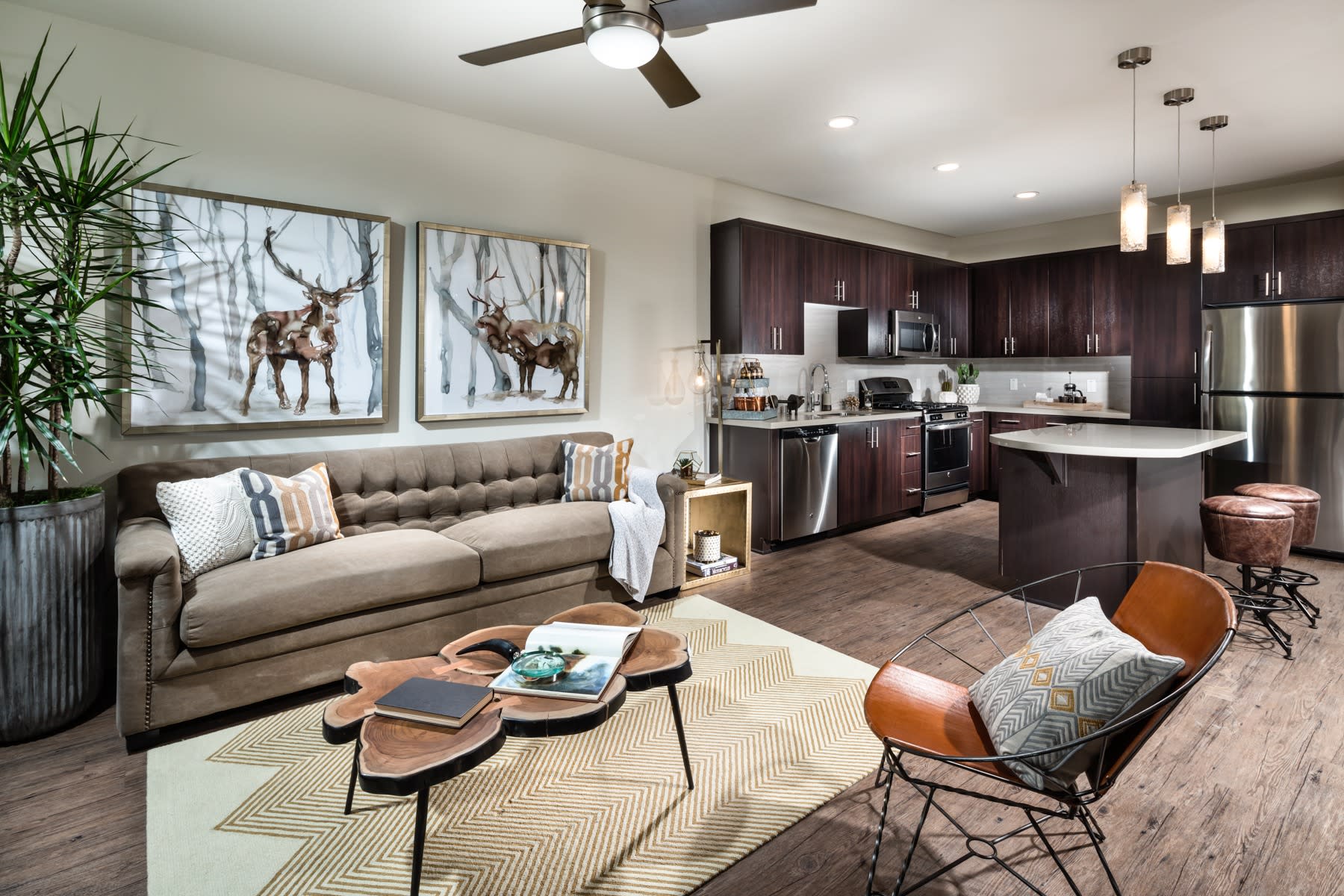 One11 Apartments – photo 1