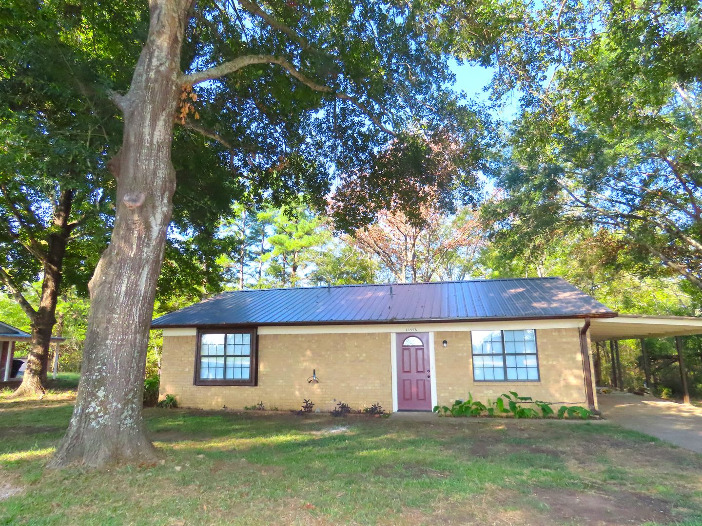 Beautifully Updated 2 Bedroom House On Wooded Lot – photo 1 of 216