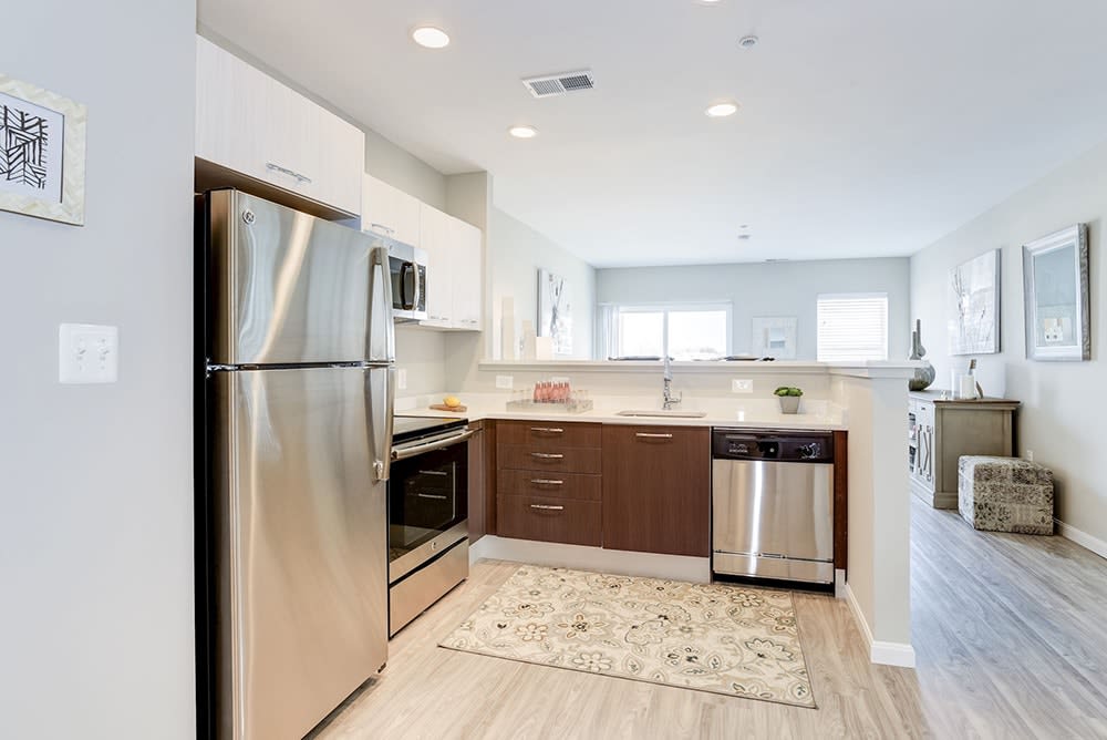 Artena Manassas – photo 1 of 23