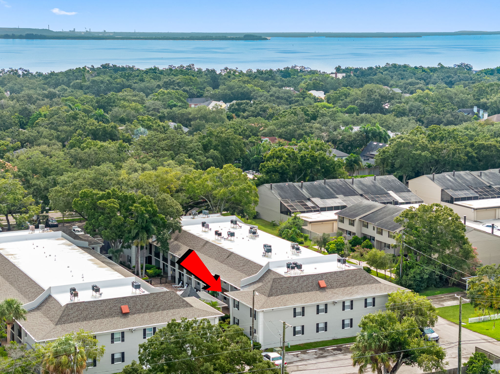 5221 Bayshore Blvd – photo 1