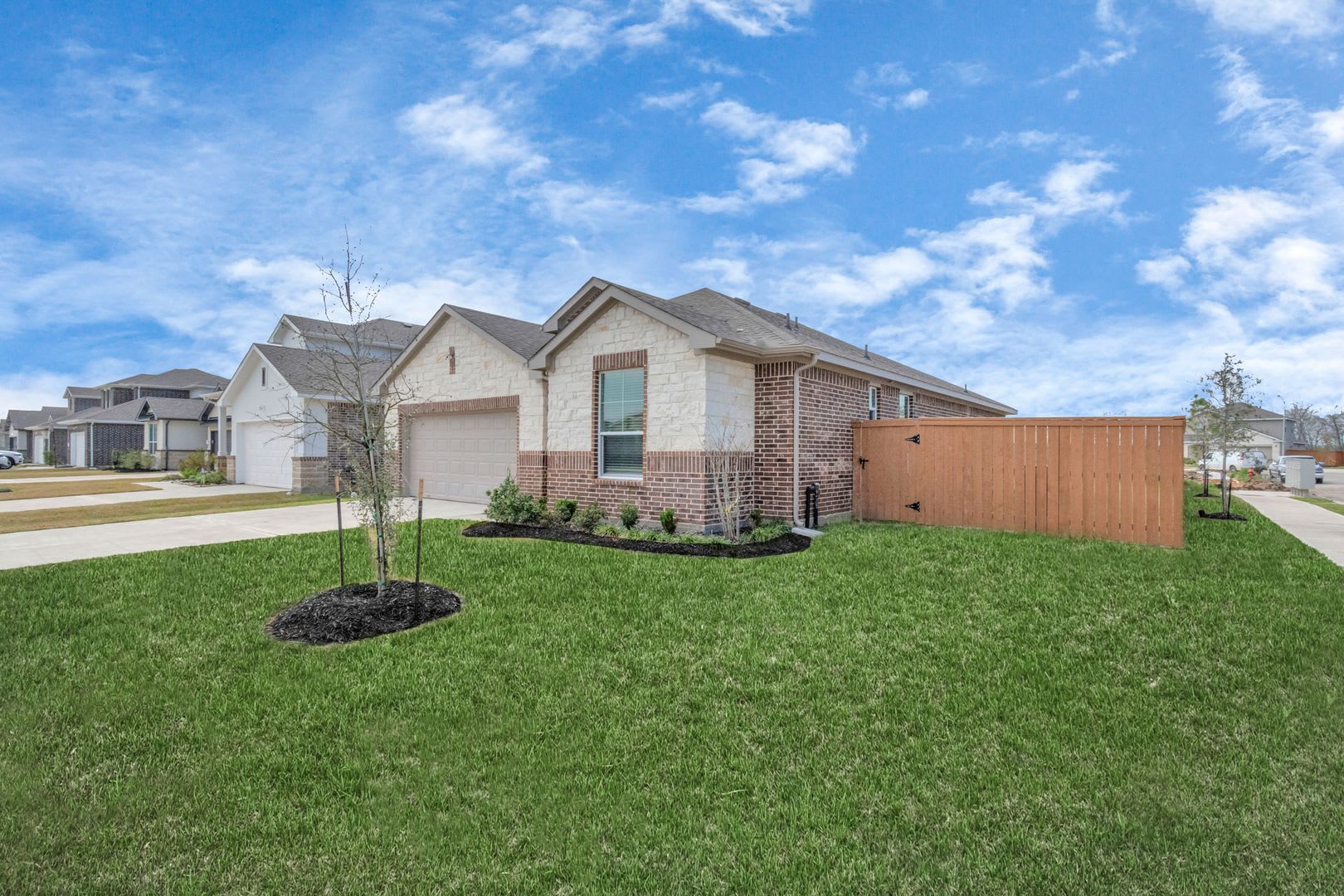Cypress – photo 1 of 38