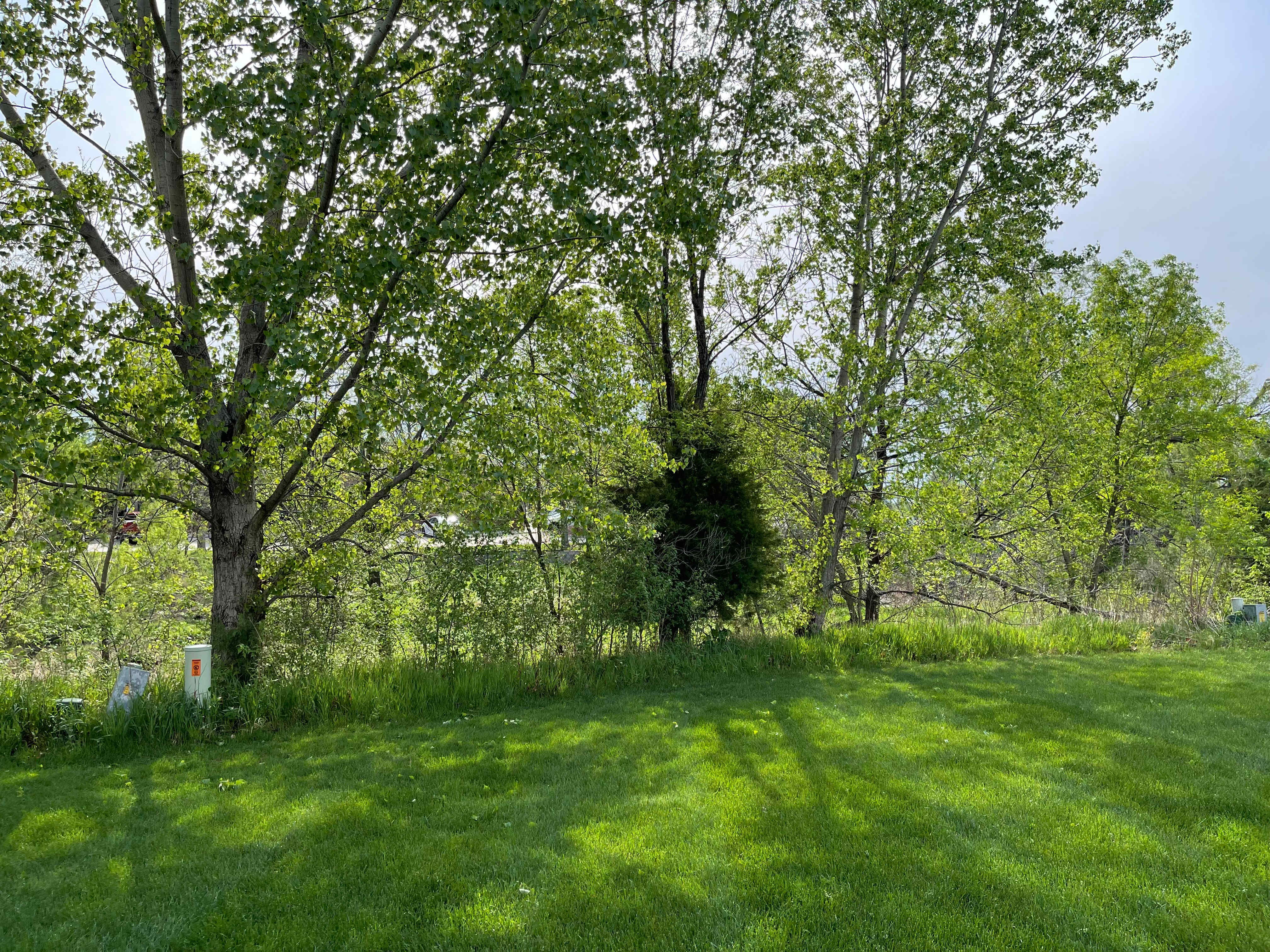 2539 Telluride Cir – photo 1