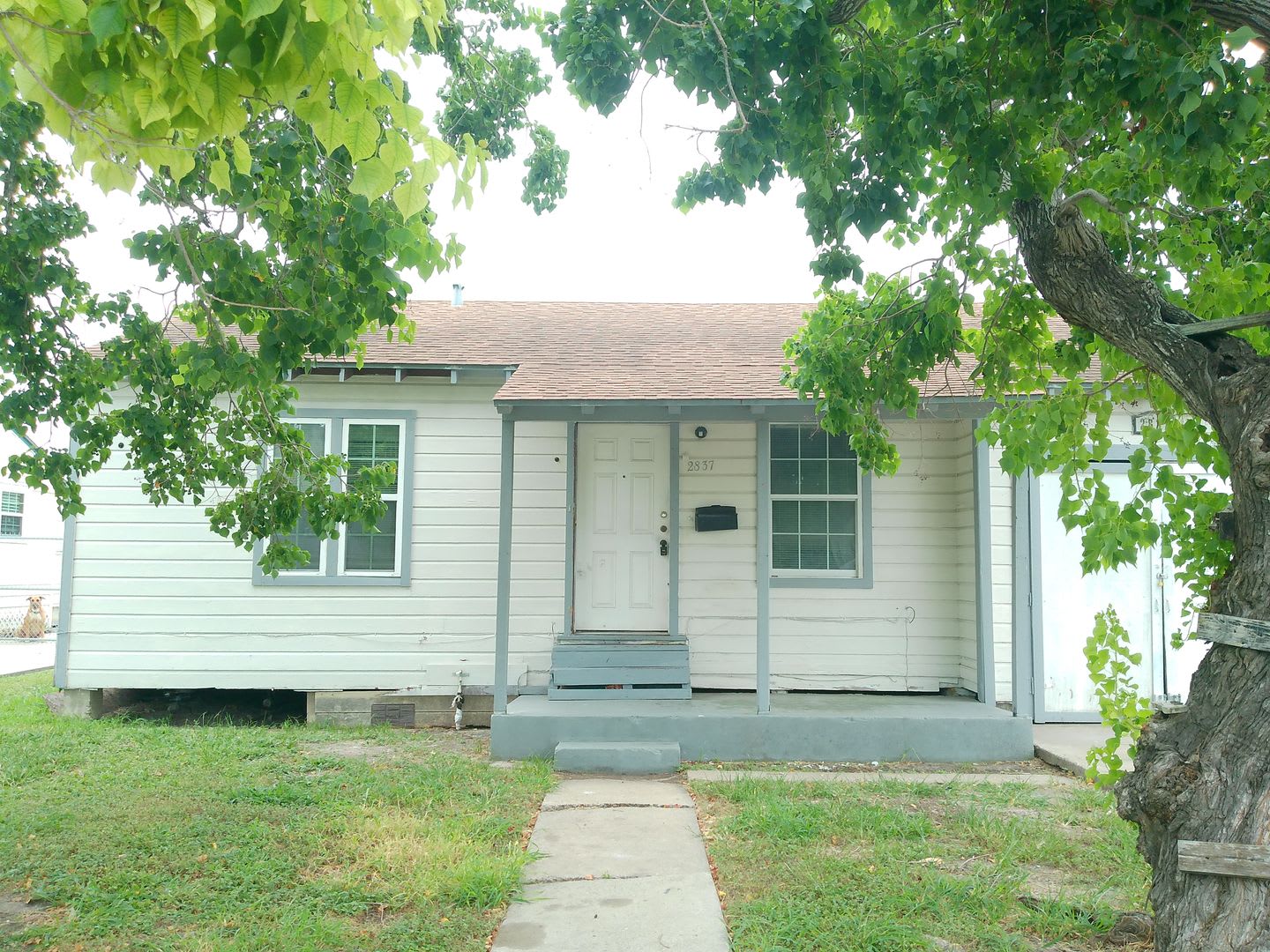 2837 Sarita – photo 1