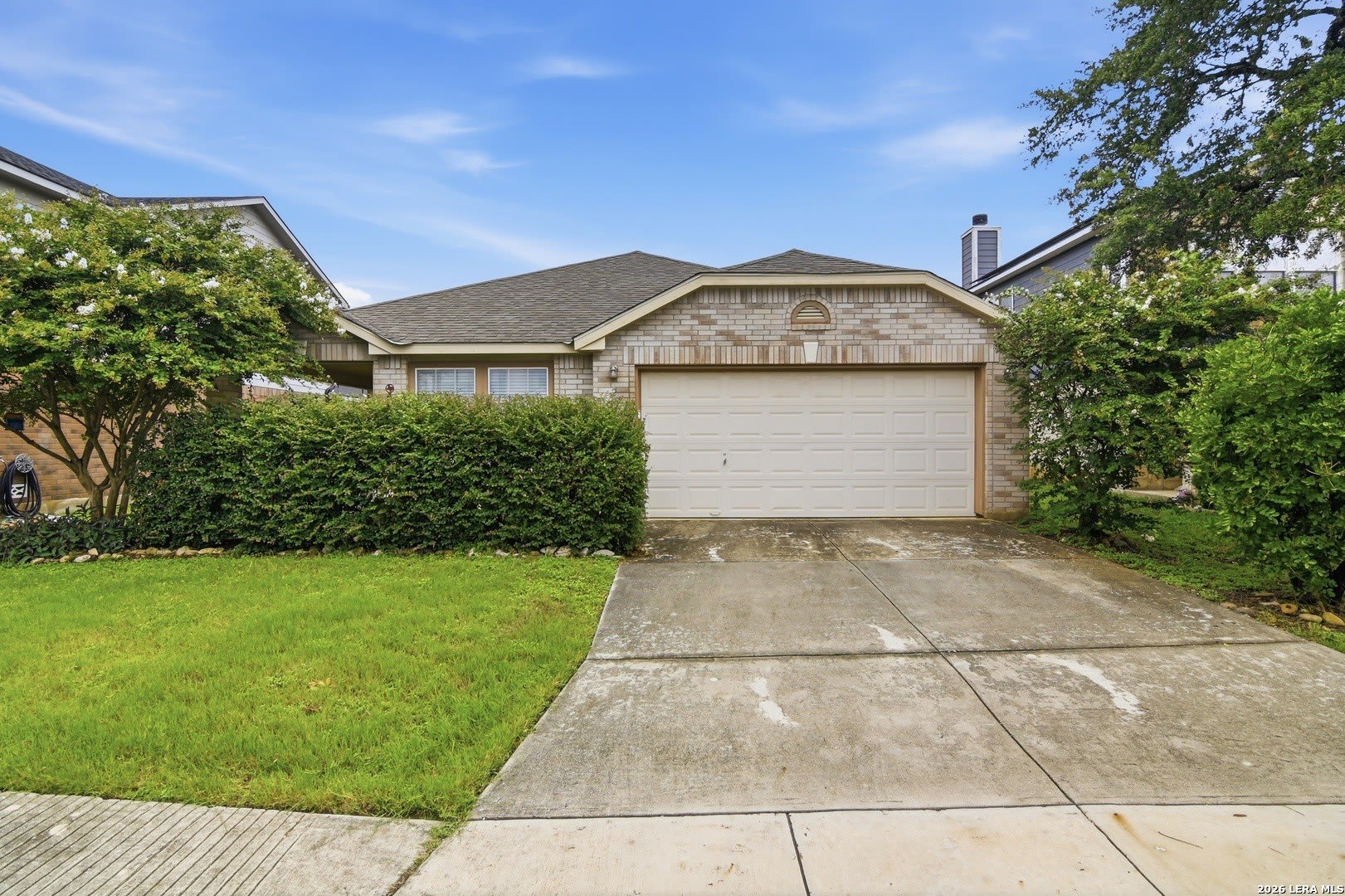 25537 Gold Yarrow – photo 1 of 34