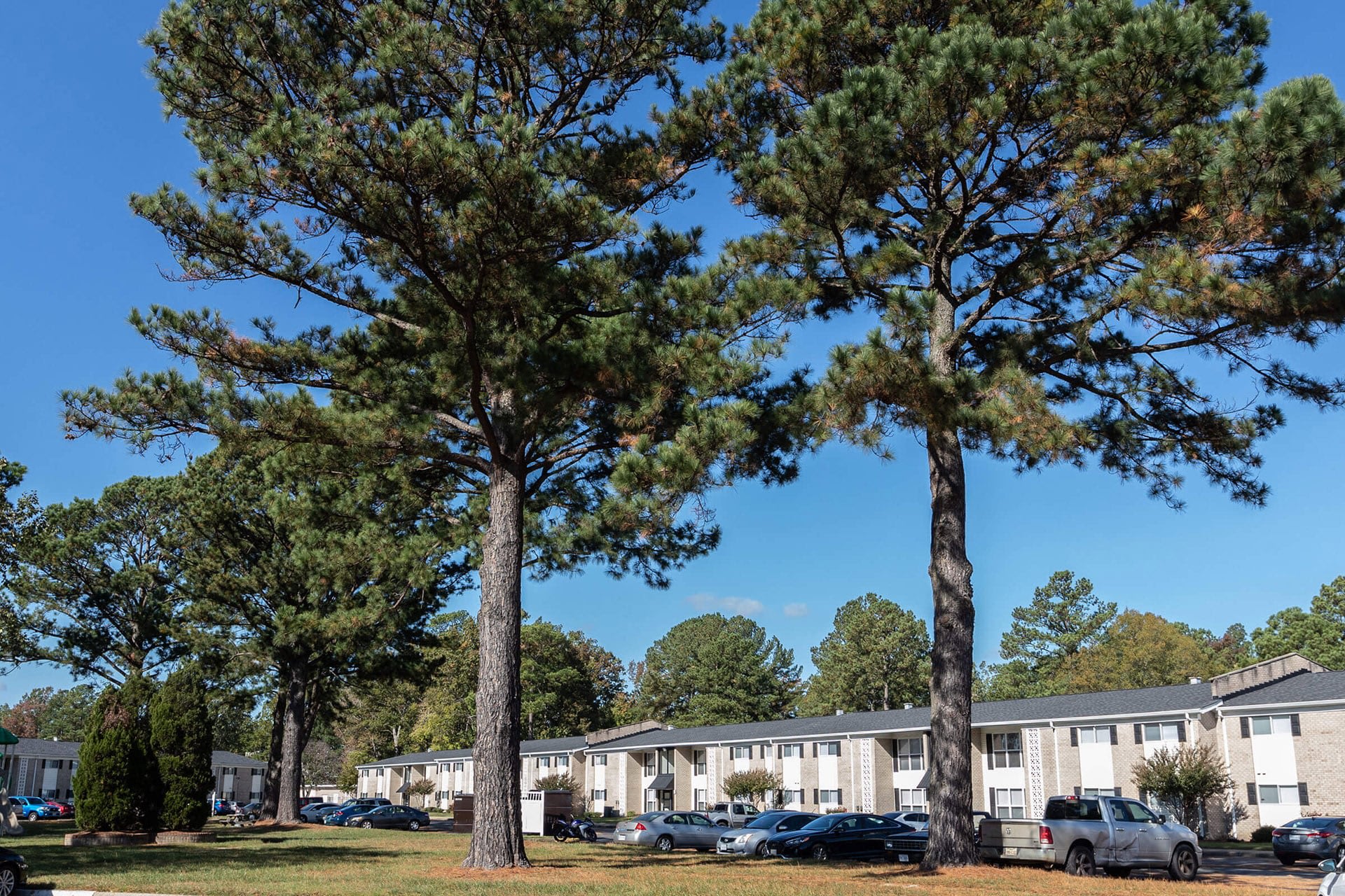 Newport Landing Apartments – photo 1