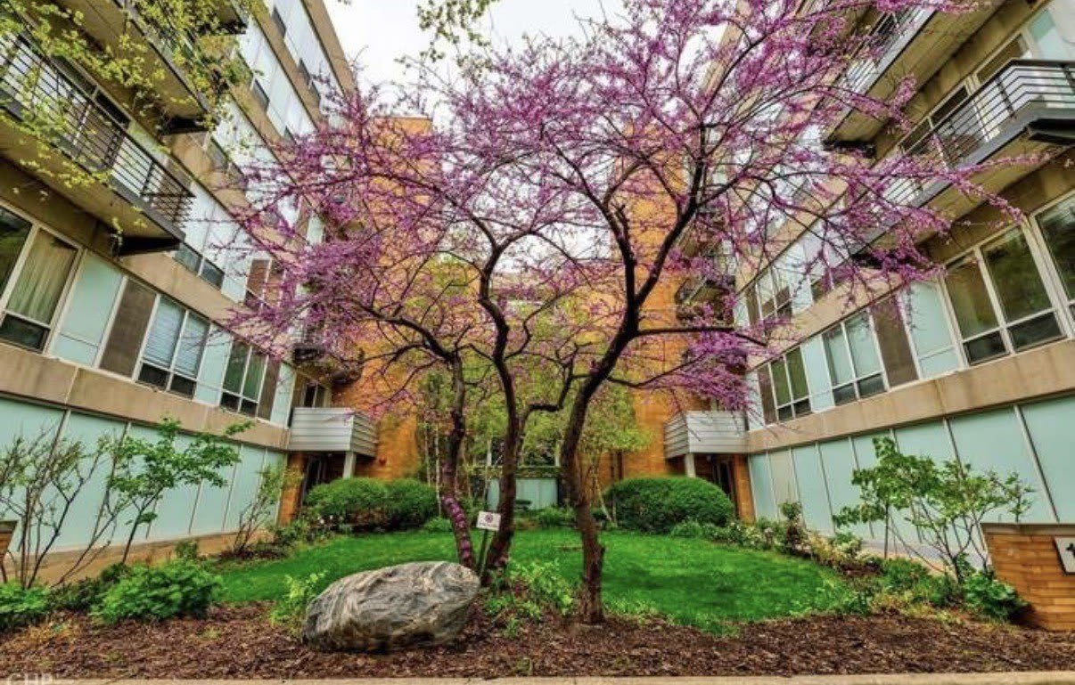 1430 S Michigan Avenue – photo 1