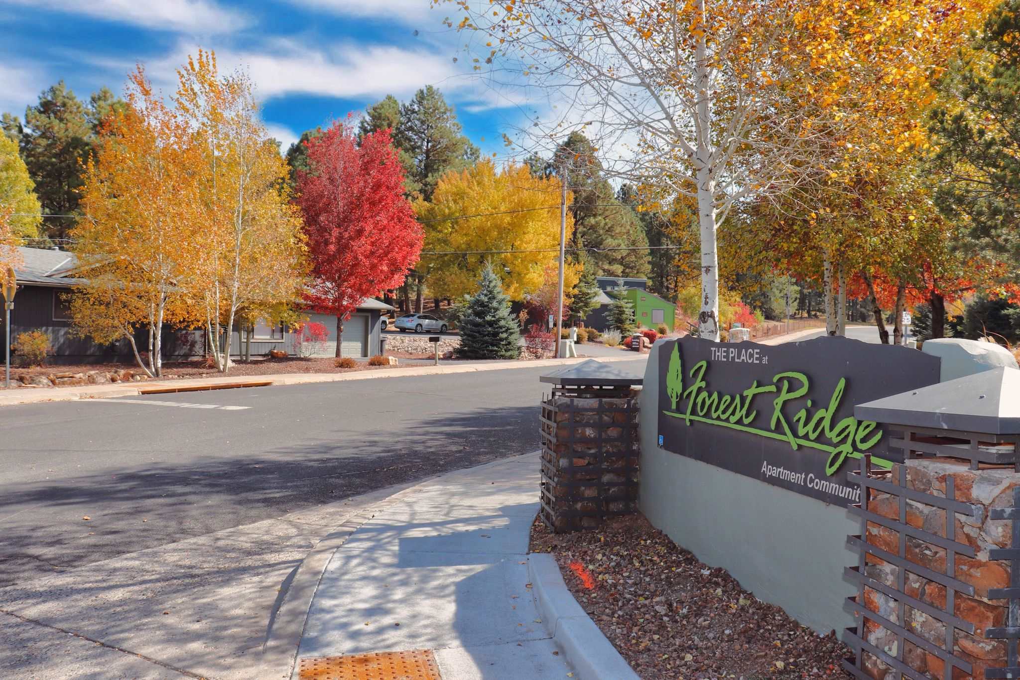 The Place At Forest Ridge Apartments – photo 1 of 17