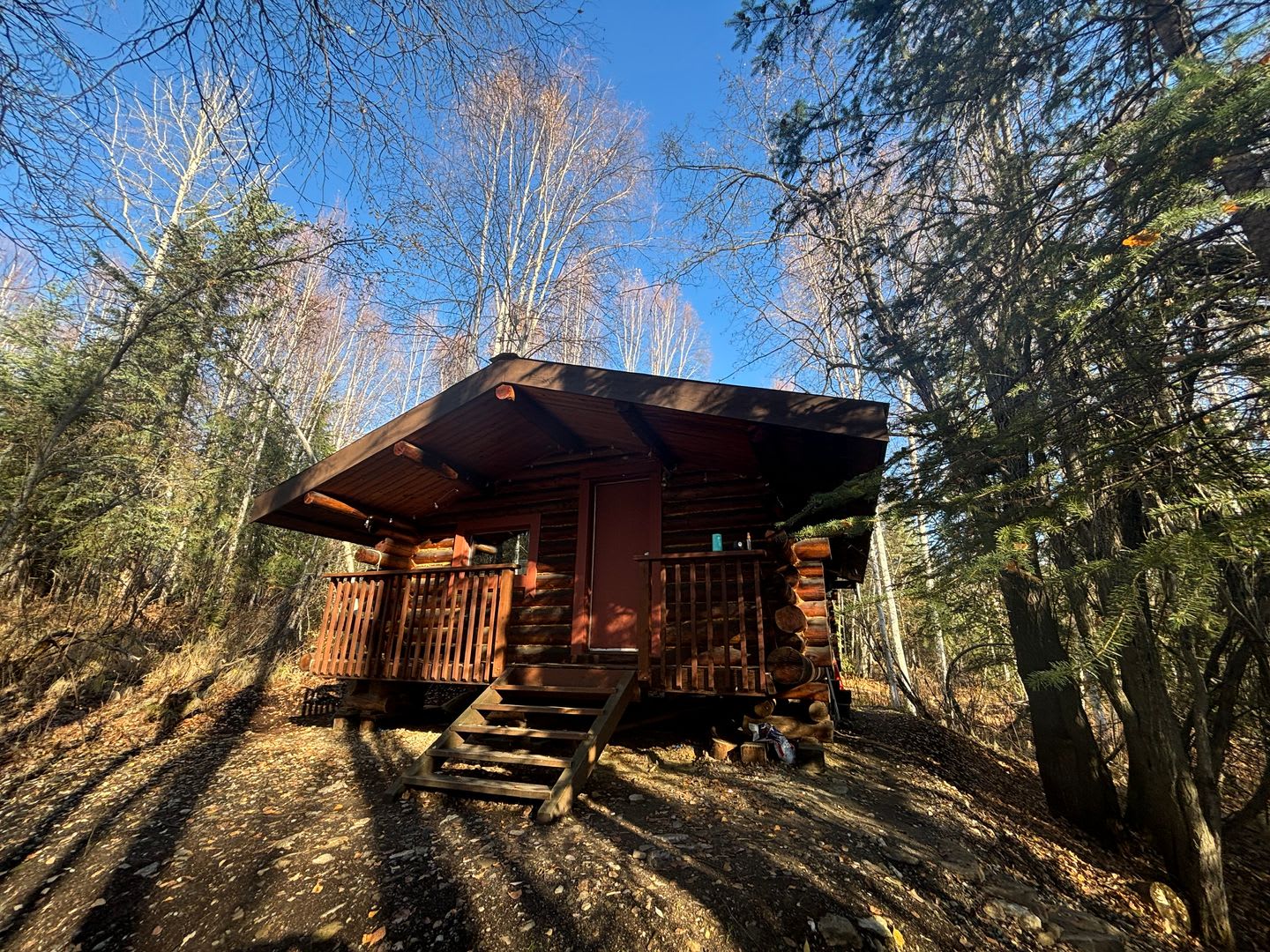 Dry cabin off Goldstream / Dog friendly – photo 1 of 9