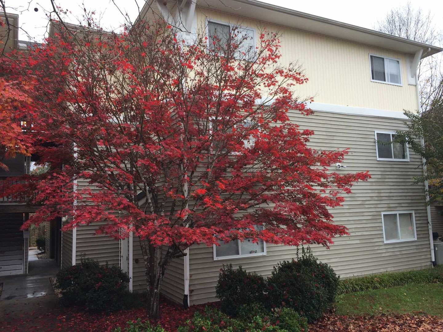 Chapel Hill 4Br Univ Comm Furnished Condo – photo 1 of 150