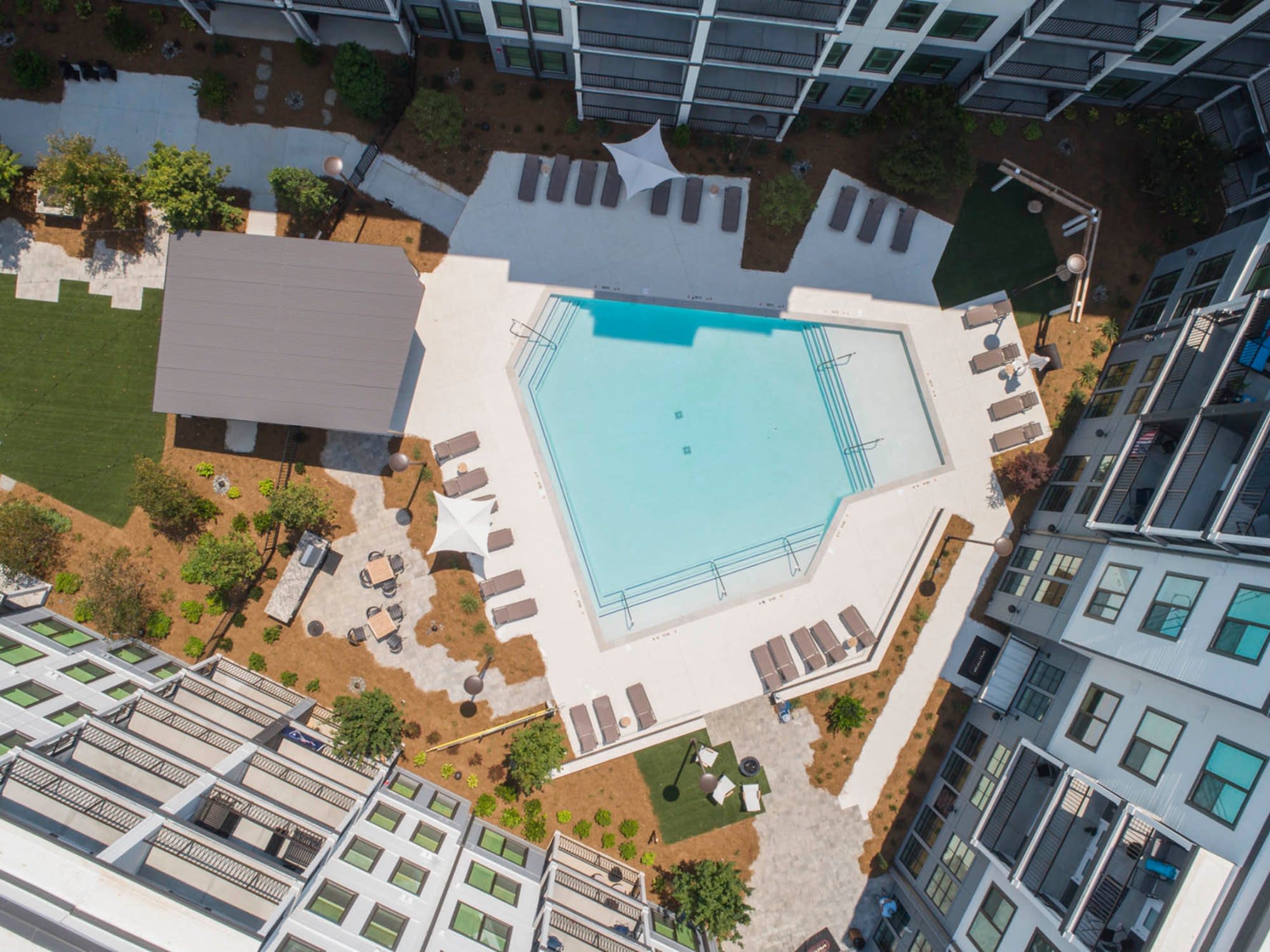Spectator Atlanta – photo 1