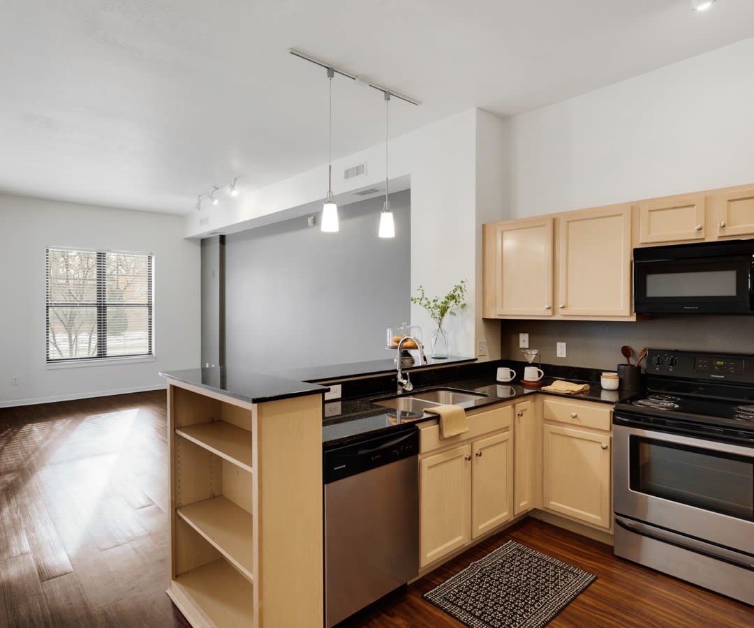 West River Commons – photo 1