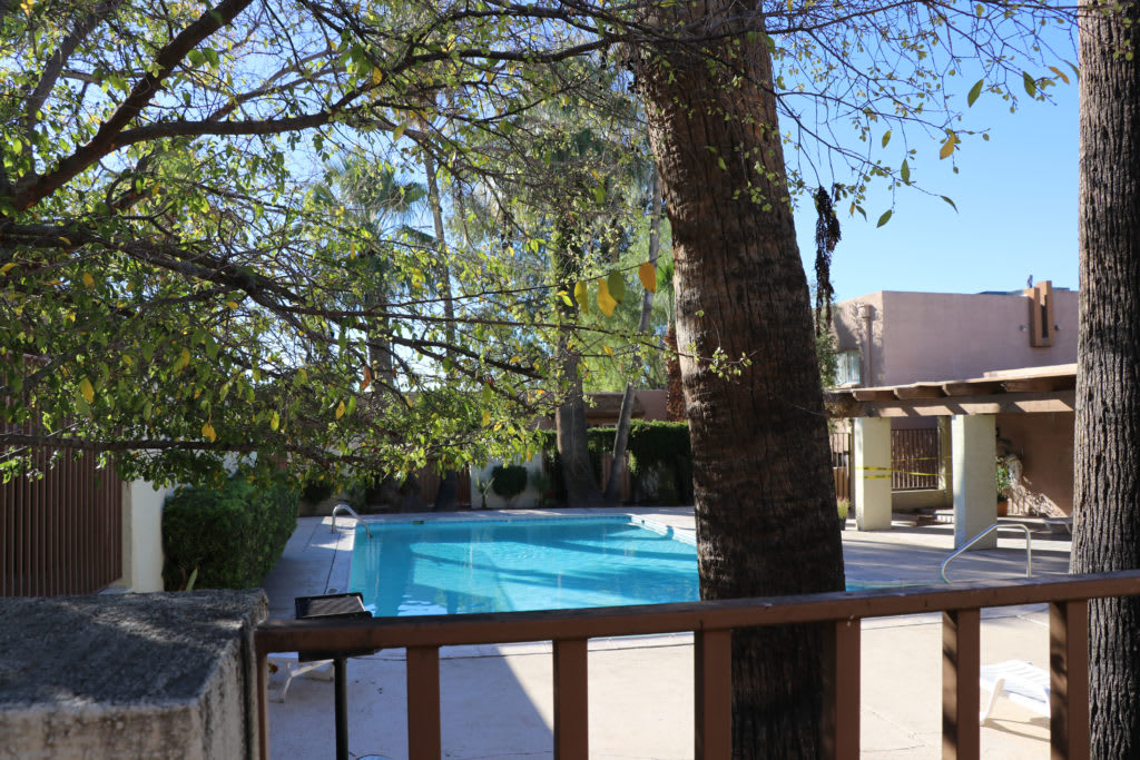Palm Garden – photo 1