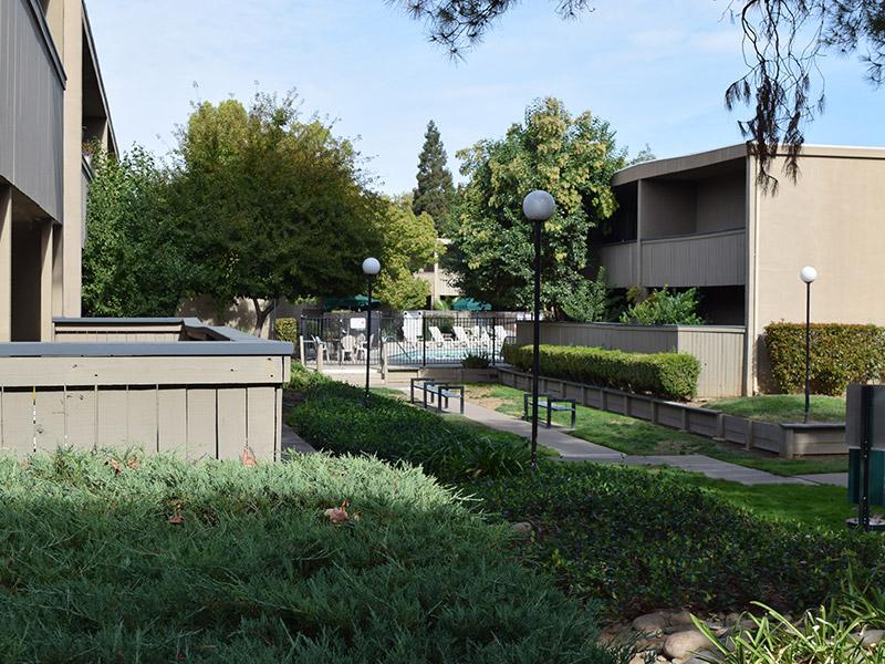 Amber Grove – photo 1