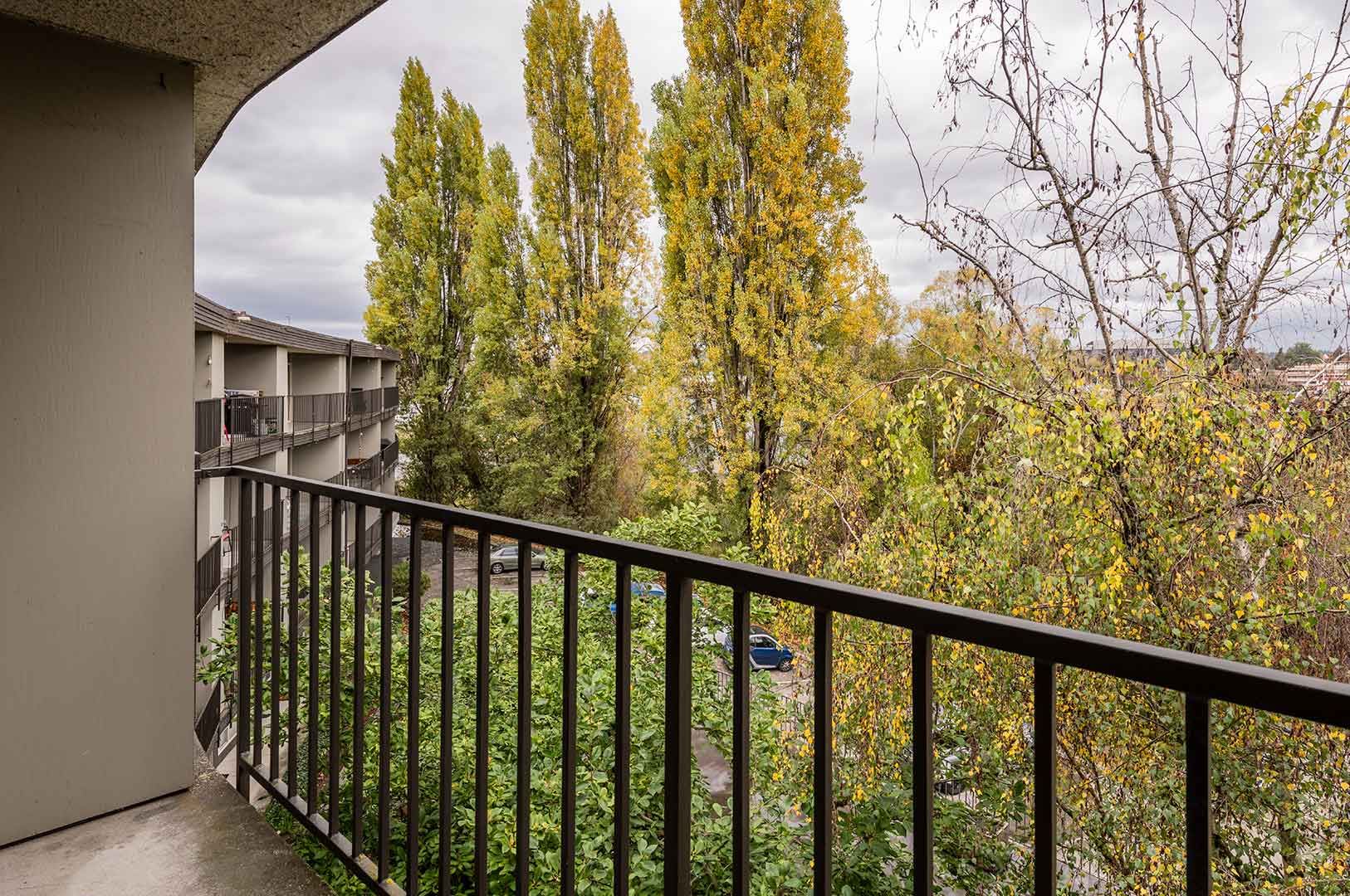Four Seasons – photo 1