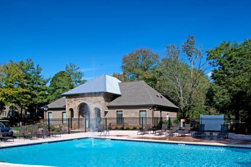 Goldelm at Cedar Bluff – photo 1
