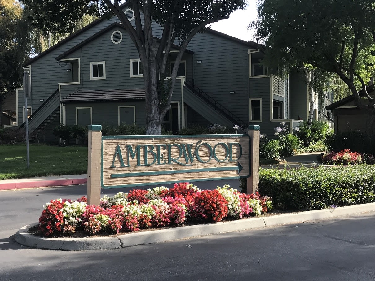 Amberwood Apartments – photo 1