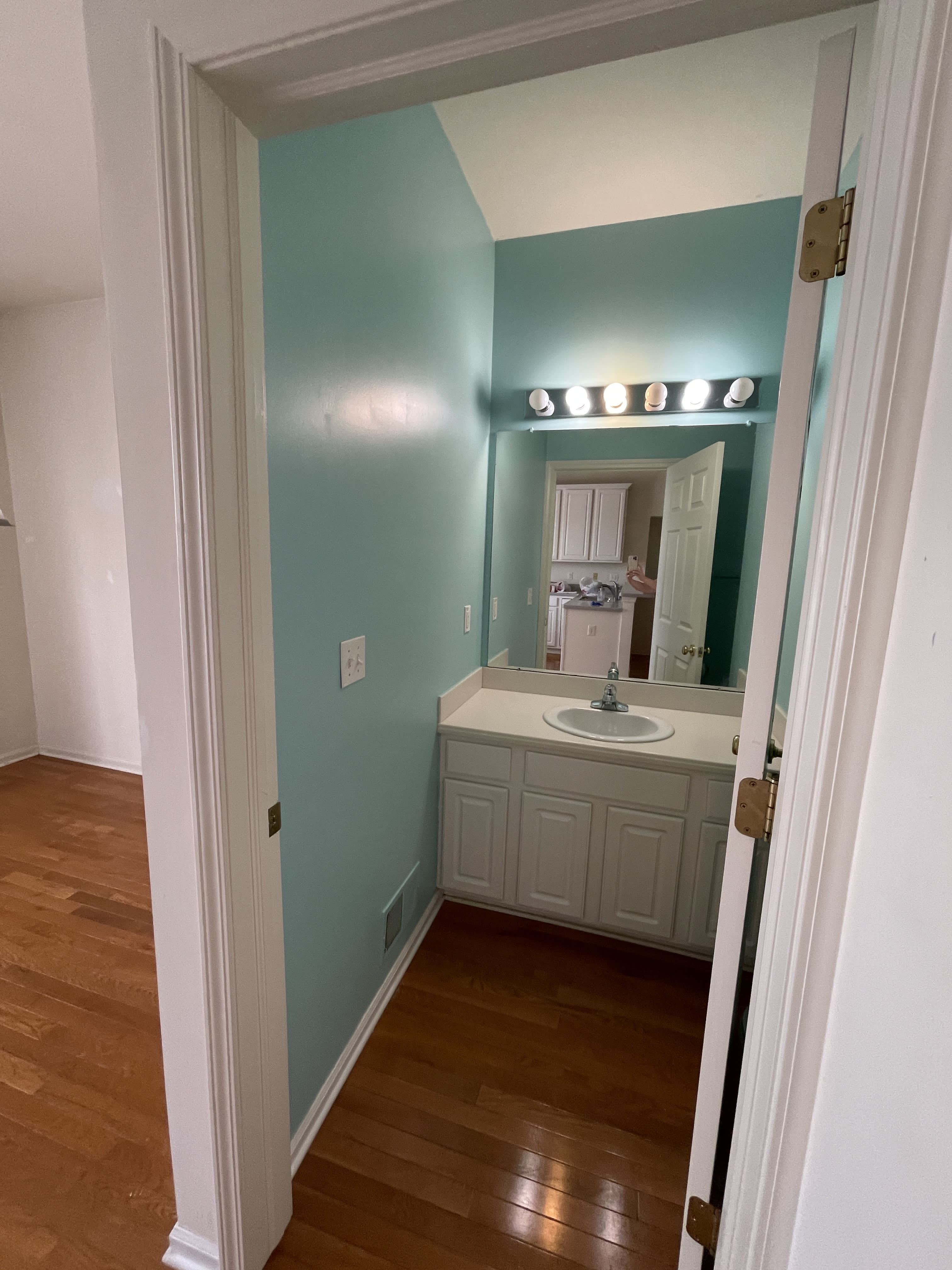 43787 Sweet Cherry Ln – photo 5