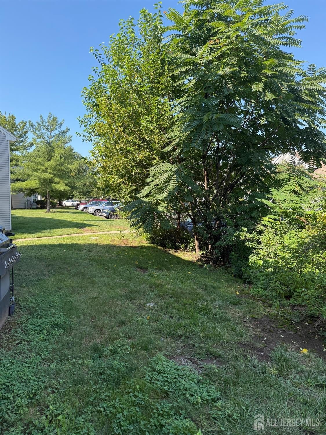 108 Lawrence Street – photo 4