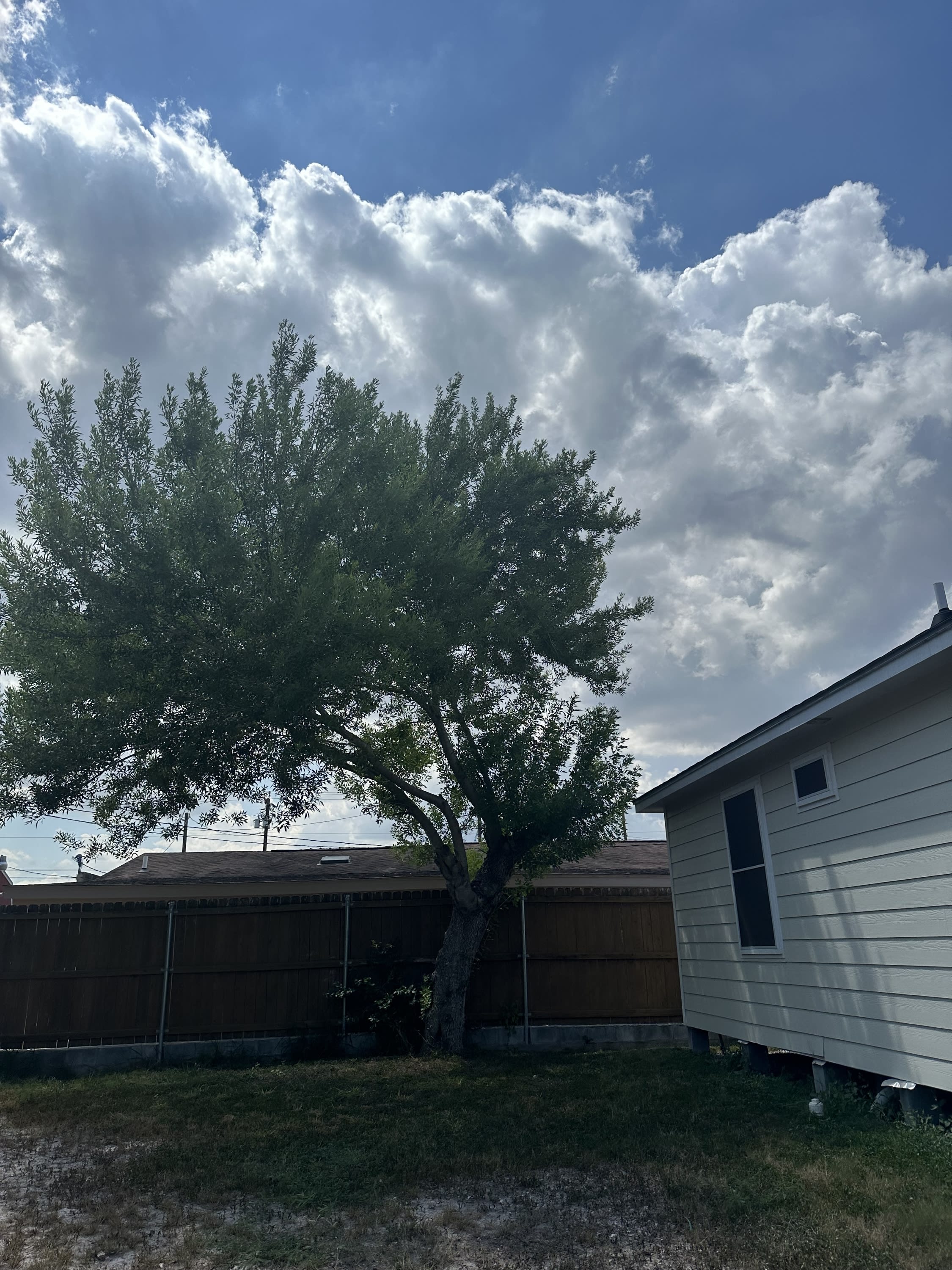 2213 Diaz Avenue – photo 4