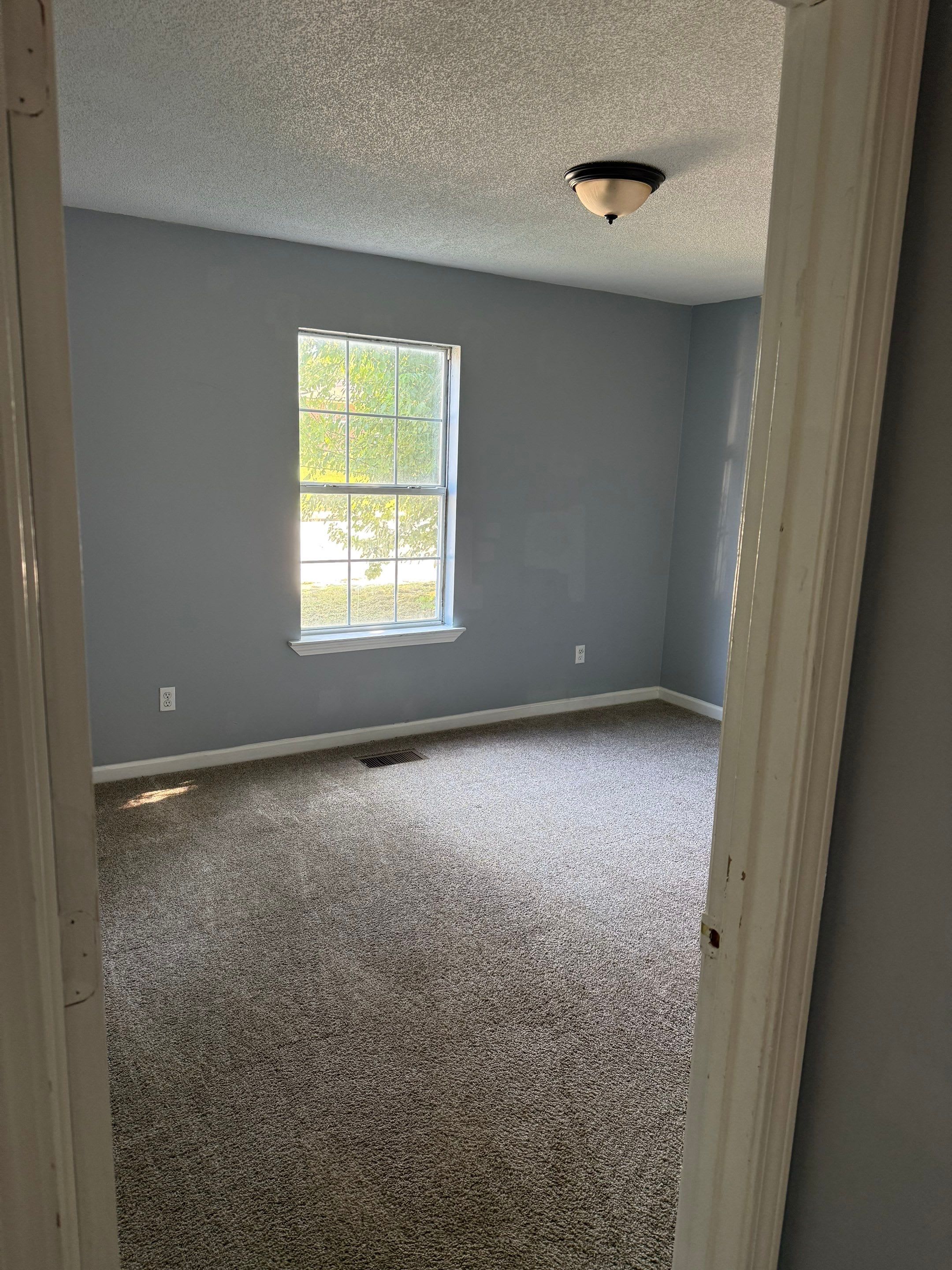 318 Hill Avenue – photo 5