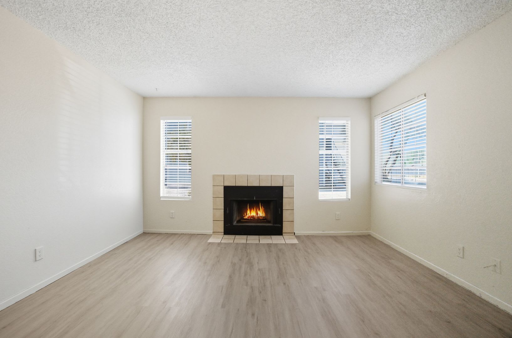 Charming 2-Bedroom Downstairs Unit with Fireplace – photo 4