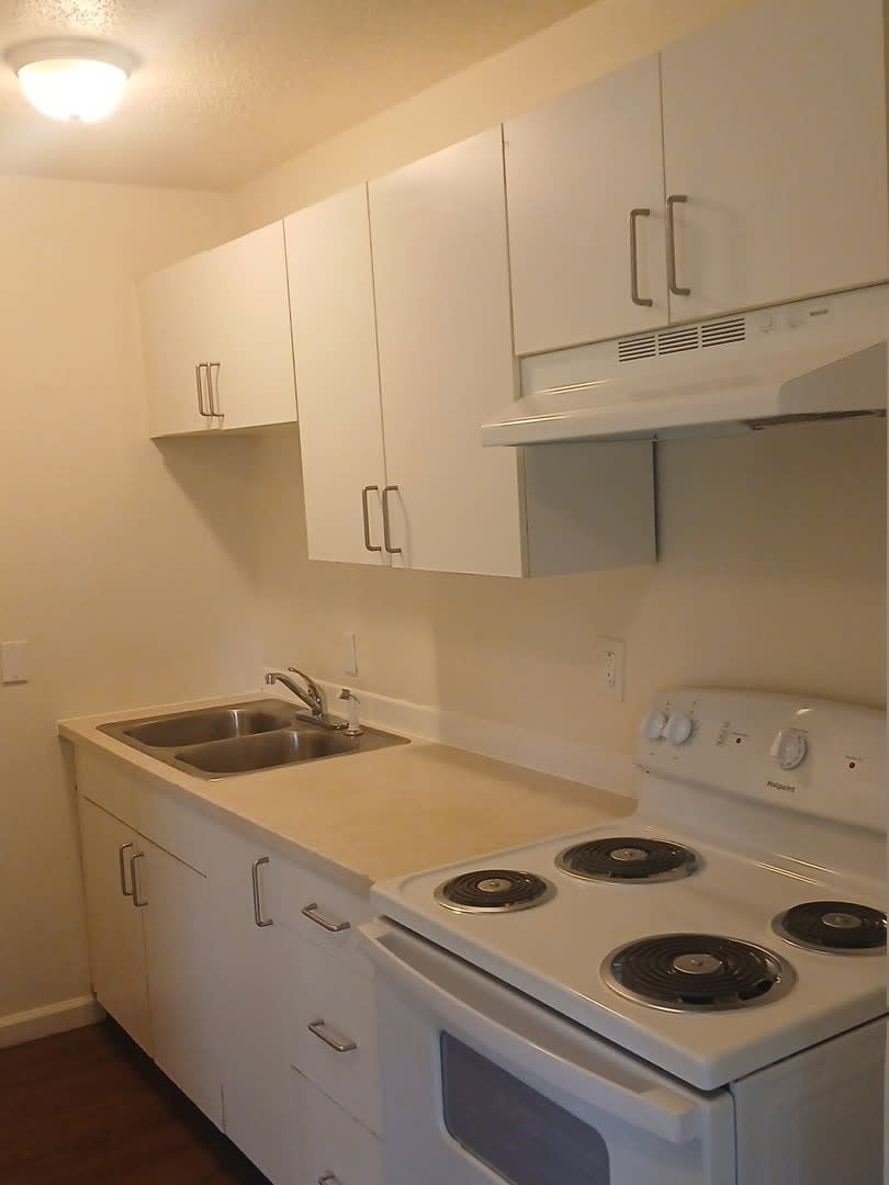 4738 Gray Rd – photo 4