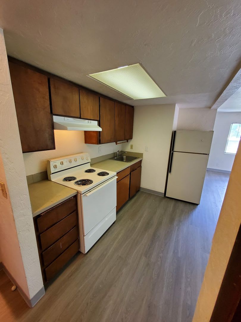 1240Wa – photo 4