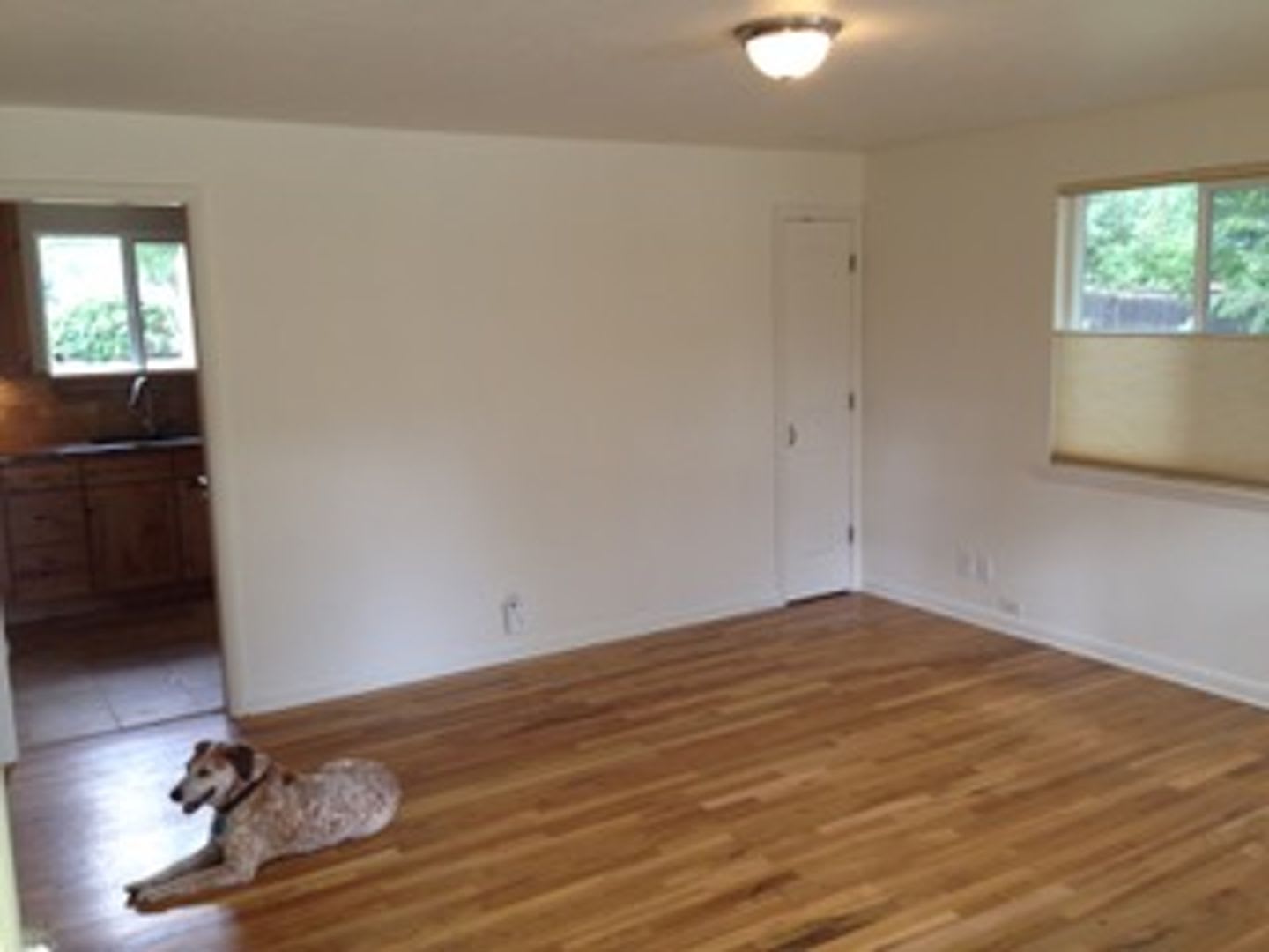 Light Filled 3 Bedroom Home In Desirable North Boulder – photo 4