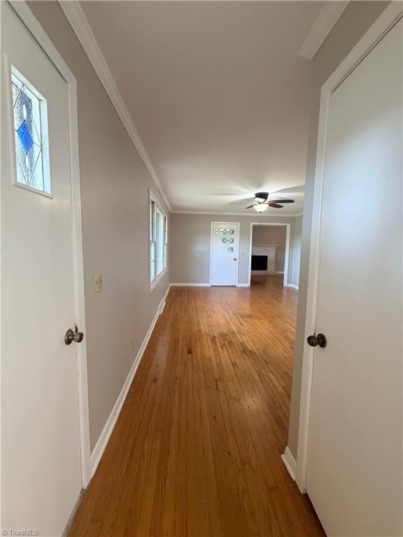 1908 Cardinal Crest Road – photo 3